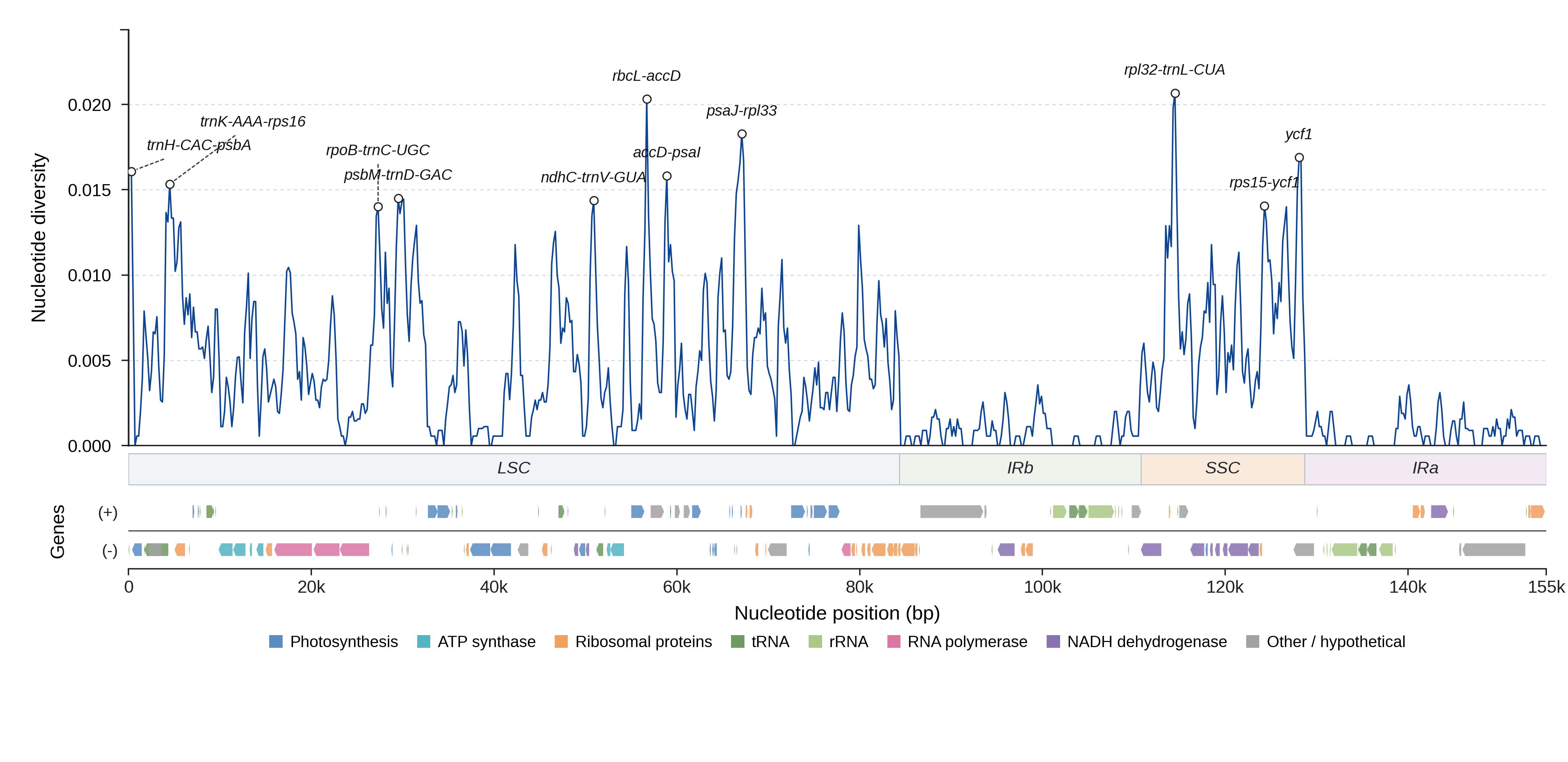 Sliding-window nucleotide diversity