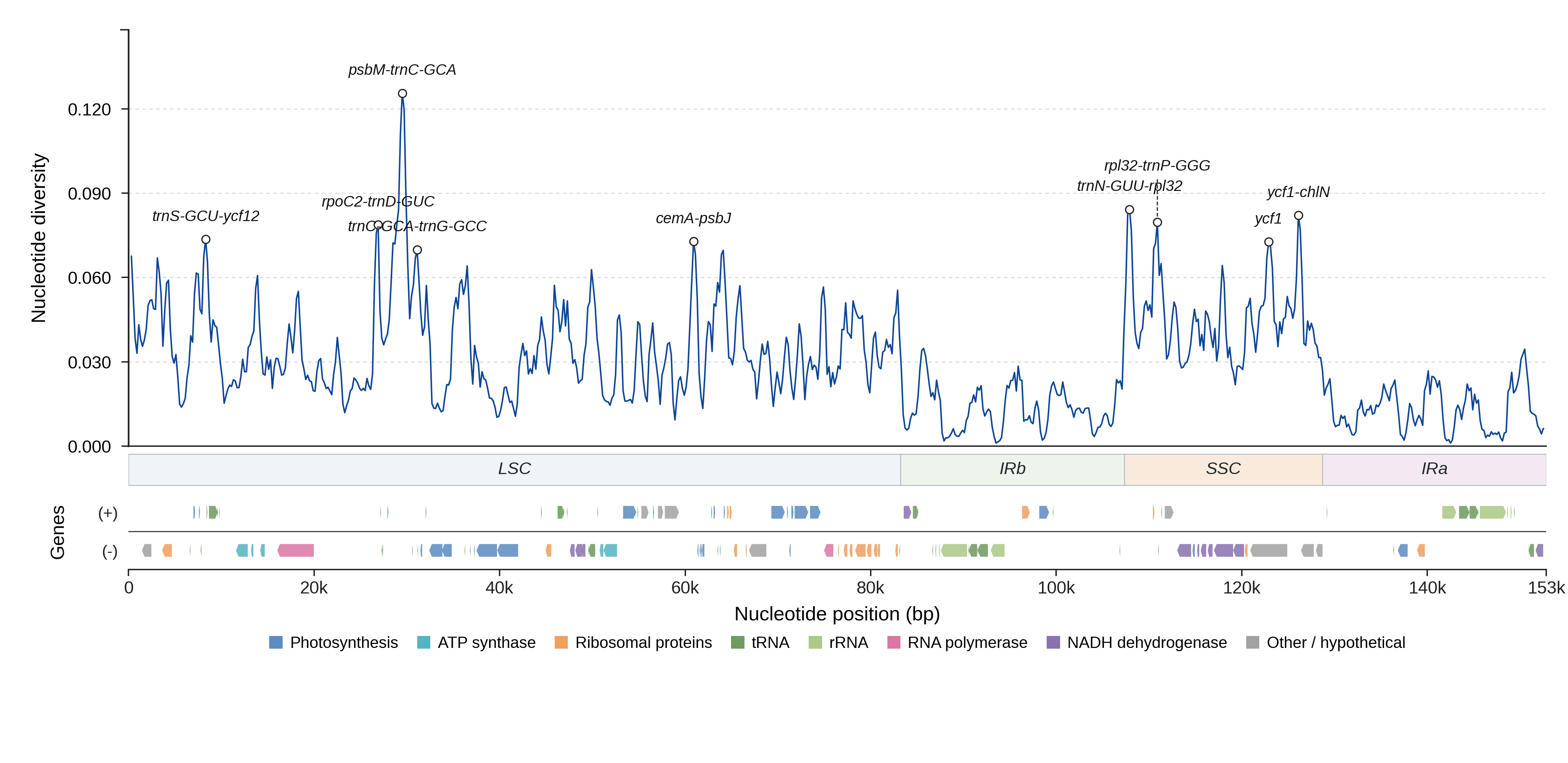 Sliding-window nucleotide diversity