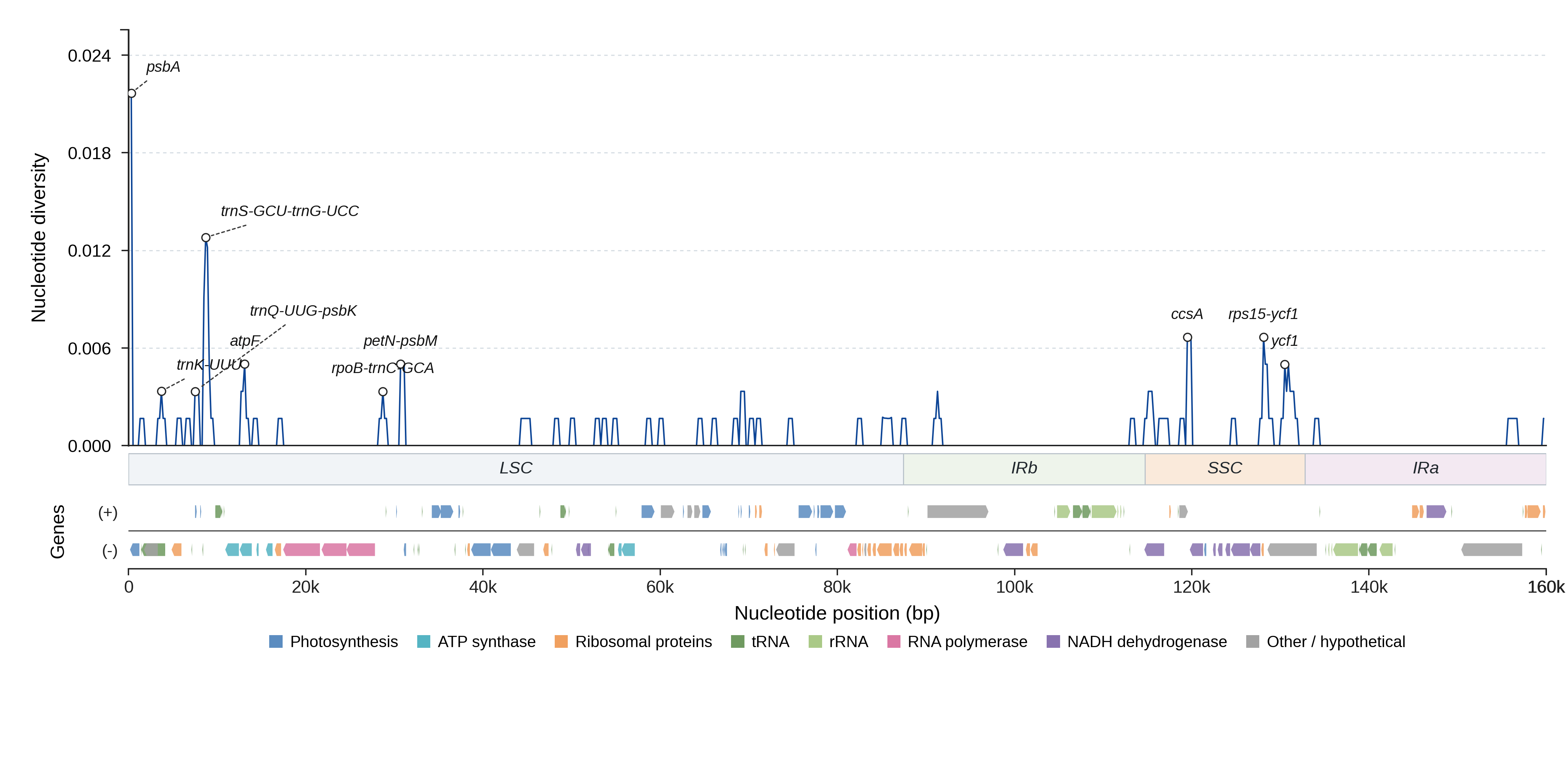 Sliding-window nucleotide diversity