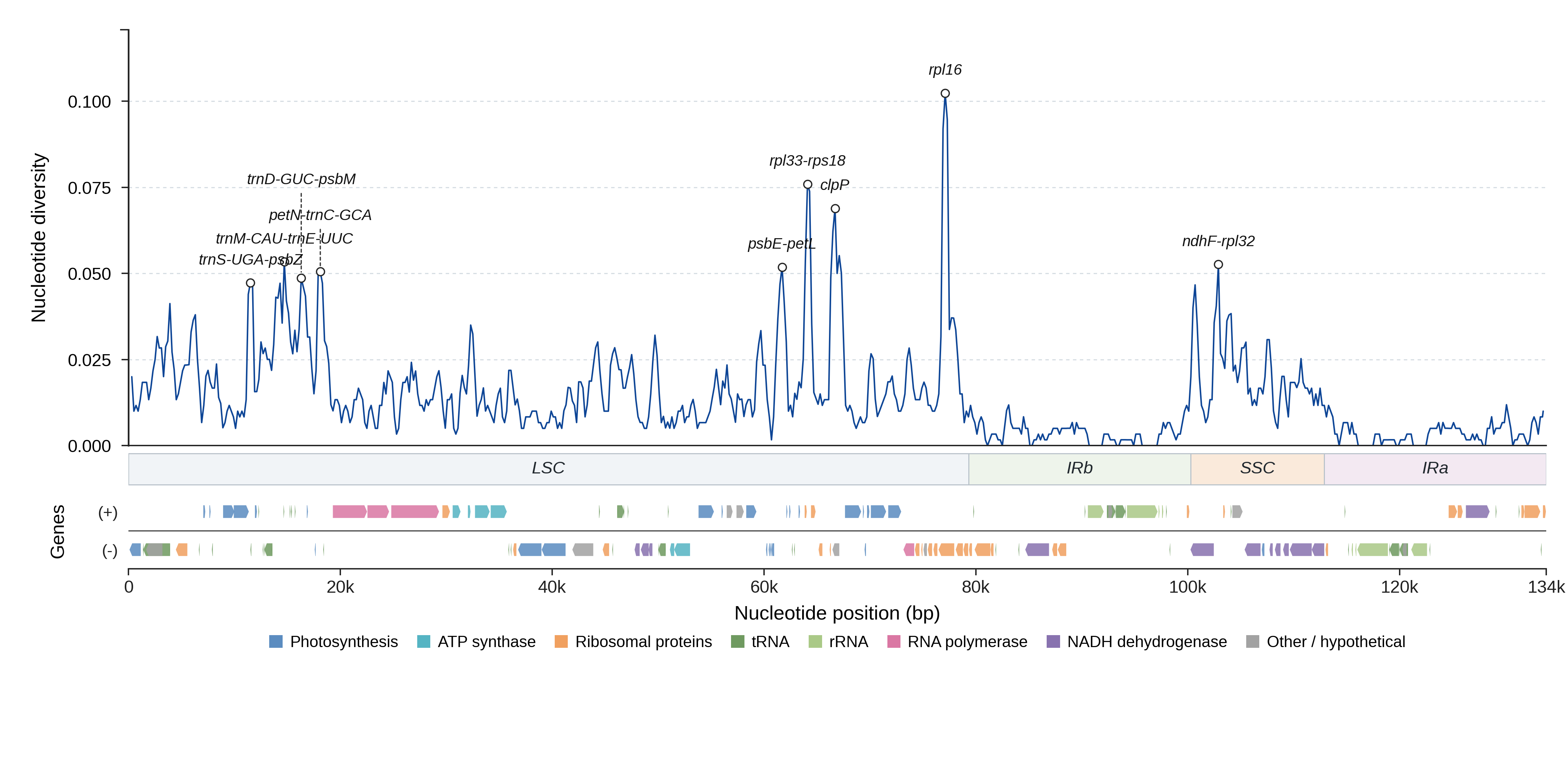 Sliding-window nucleotide diversity