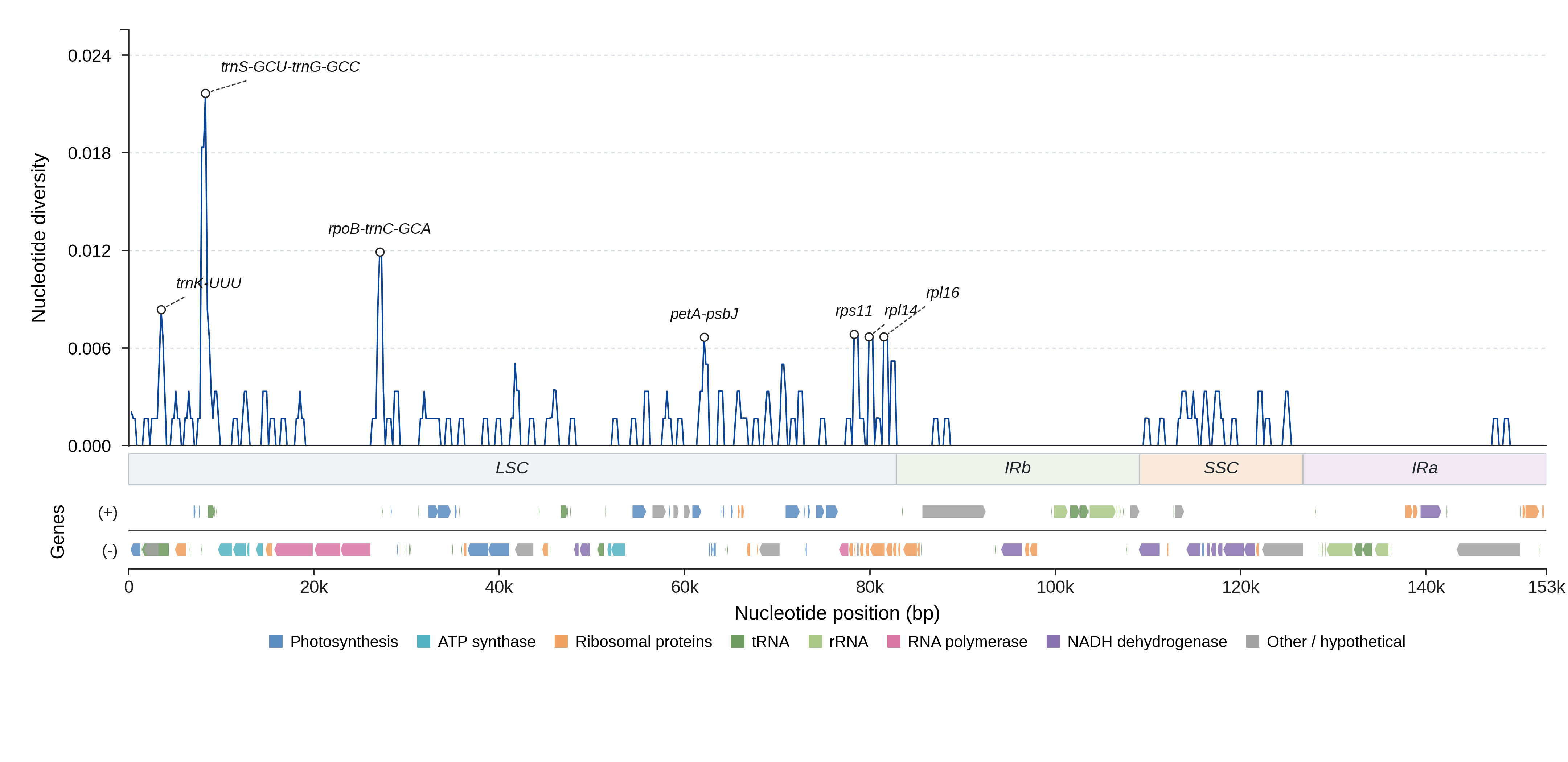 Sliding-window nucleotide diversity
