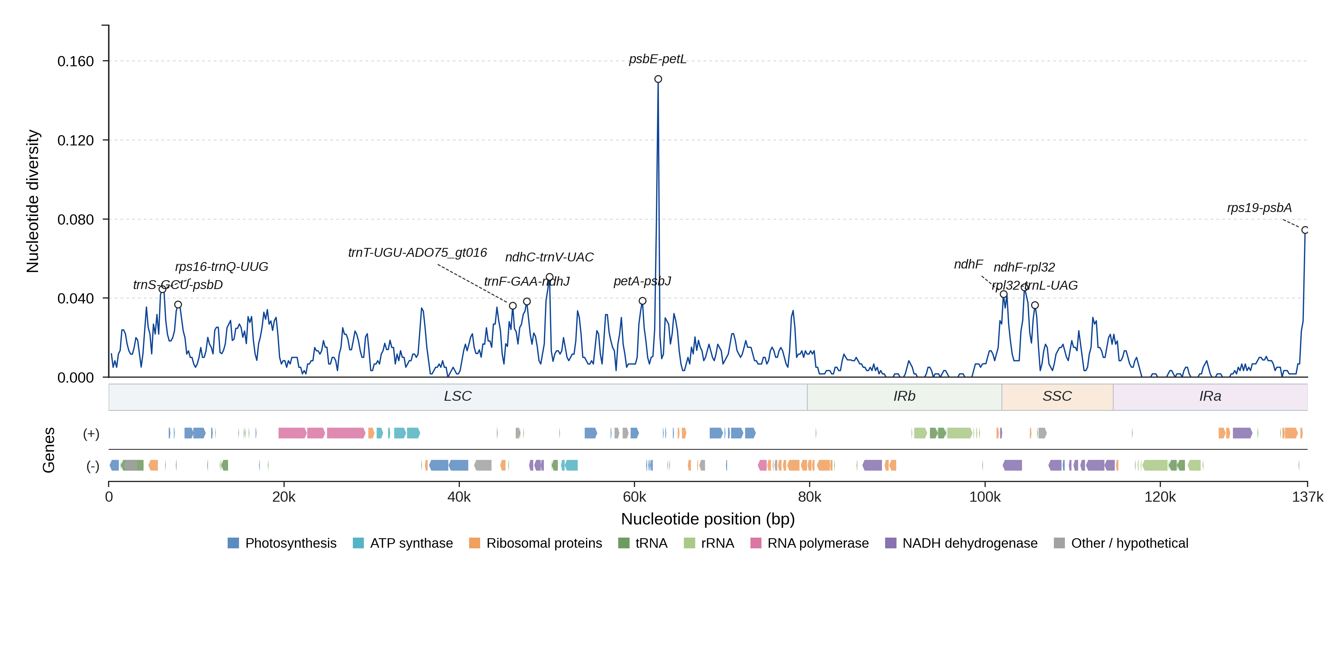 Sliding-window nucleotide diversity