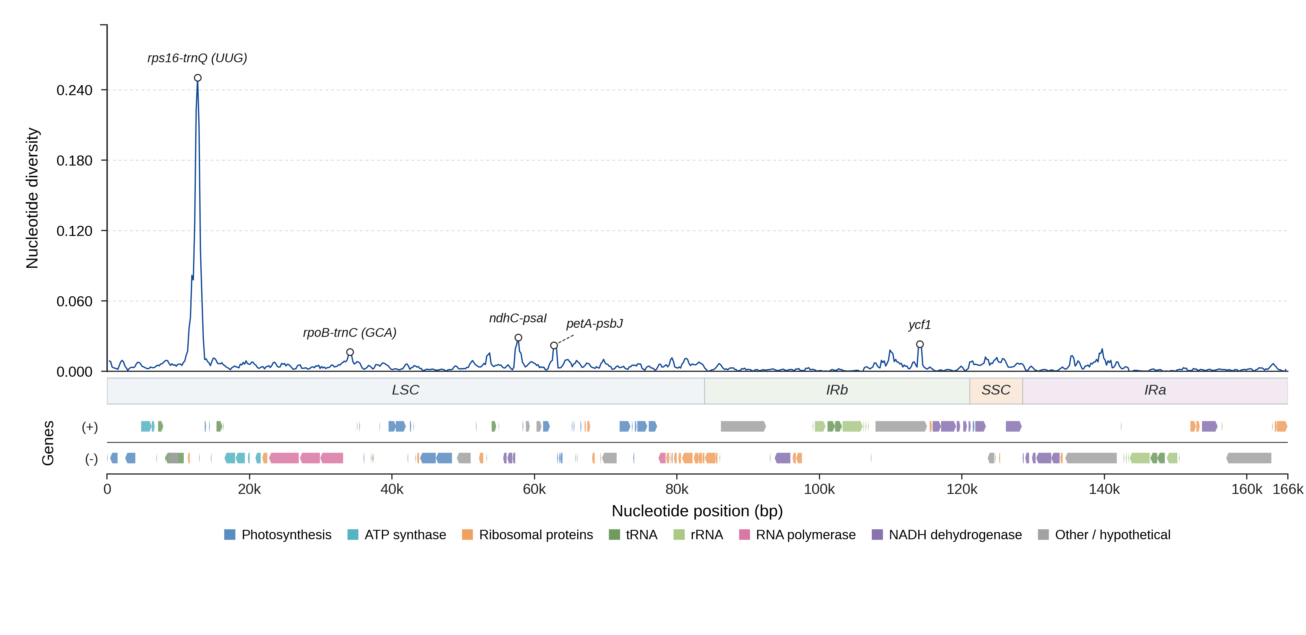 Sliding-window nucleotide diversity