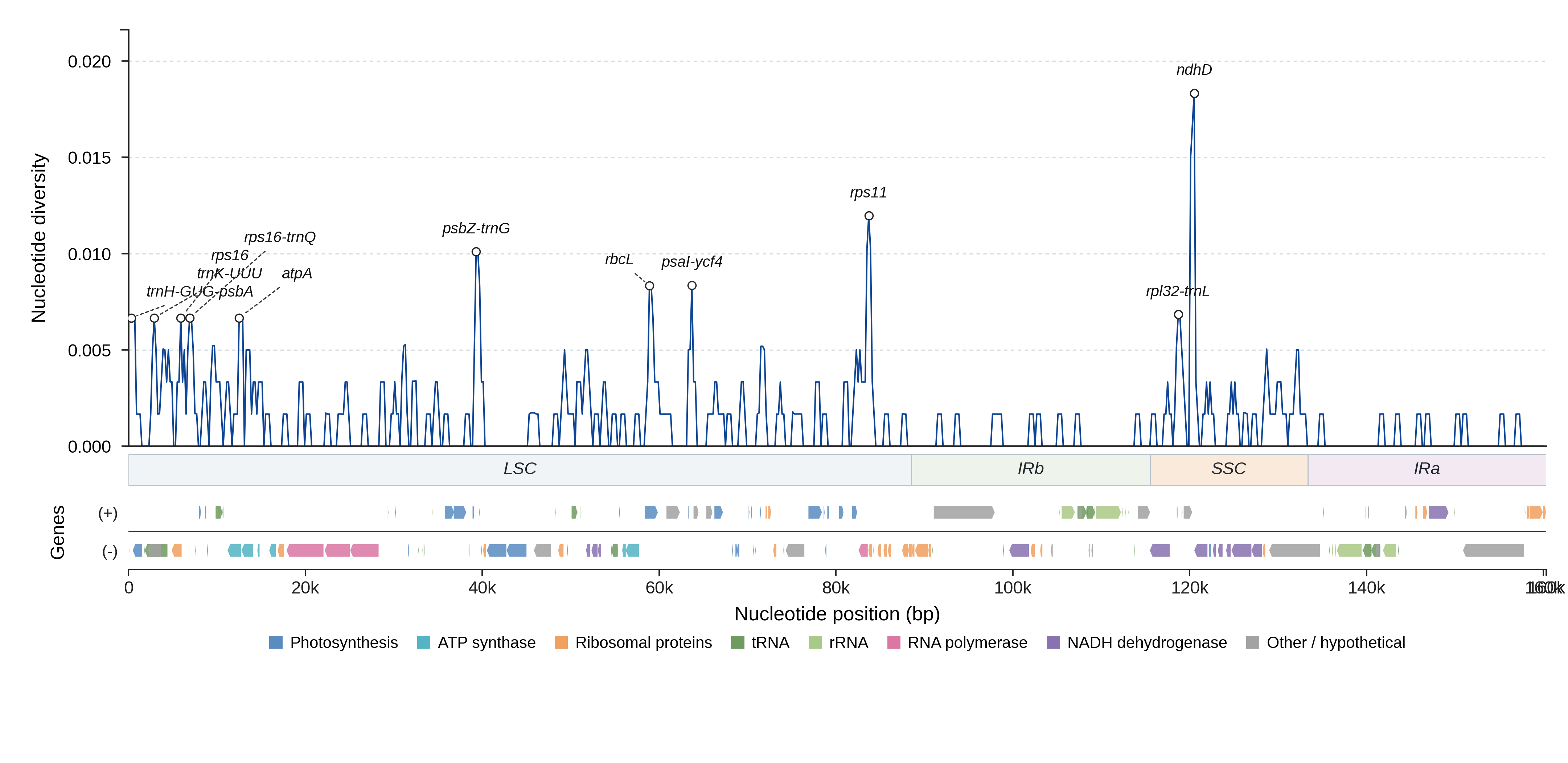 Sliding-window nucleotide diversity
