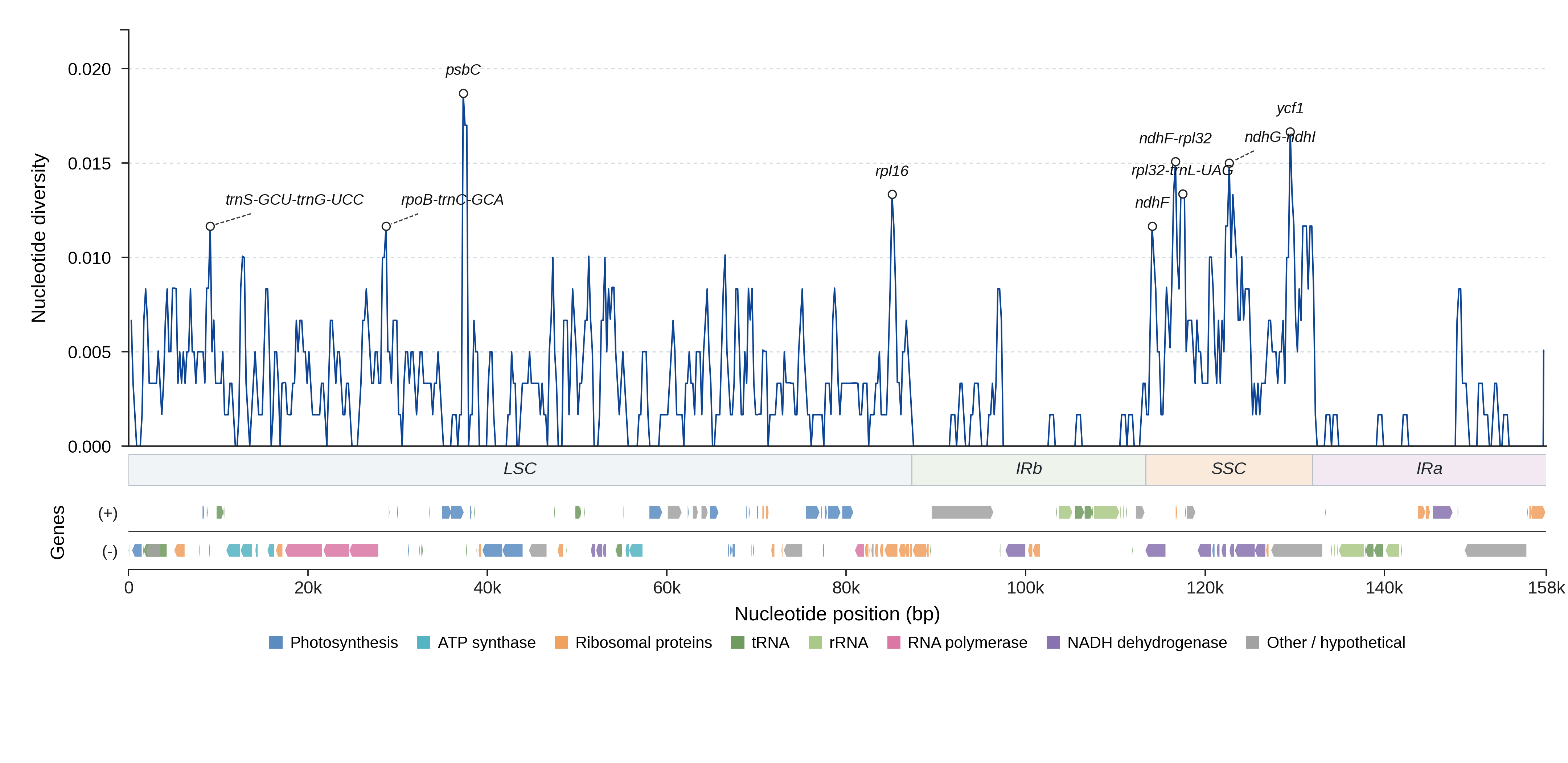 Sliding-window nucleotide diversity