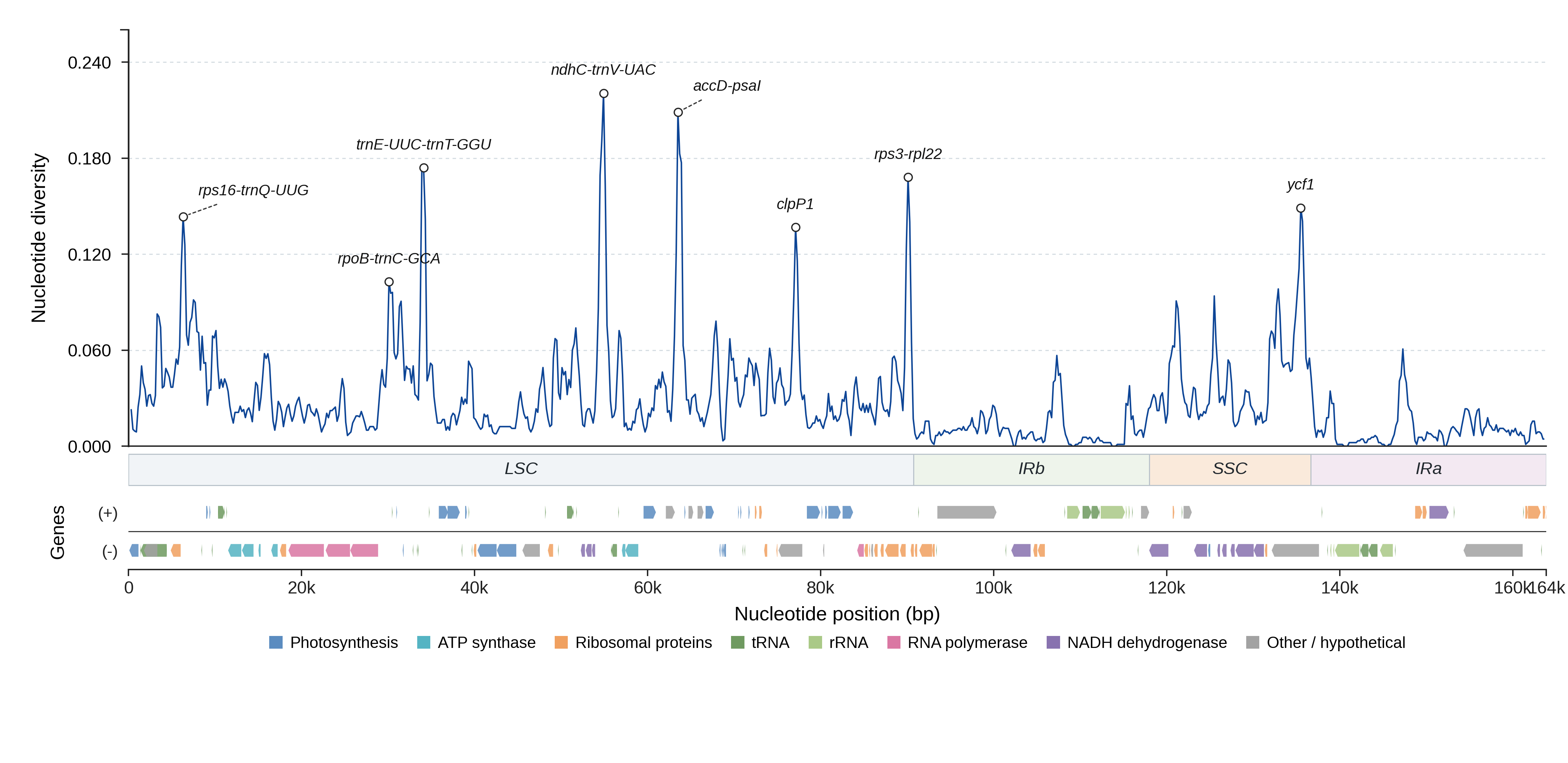 Sliding-window nucleotide diversity