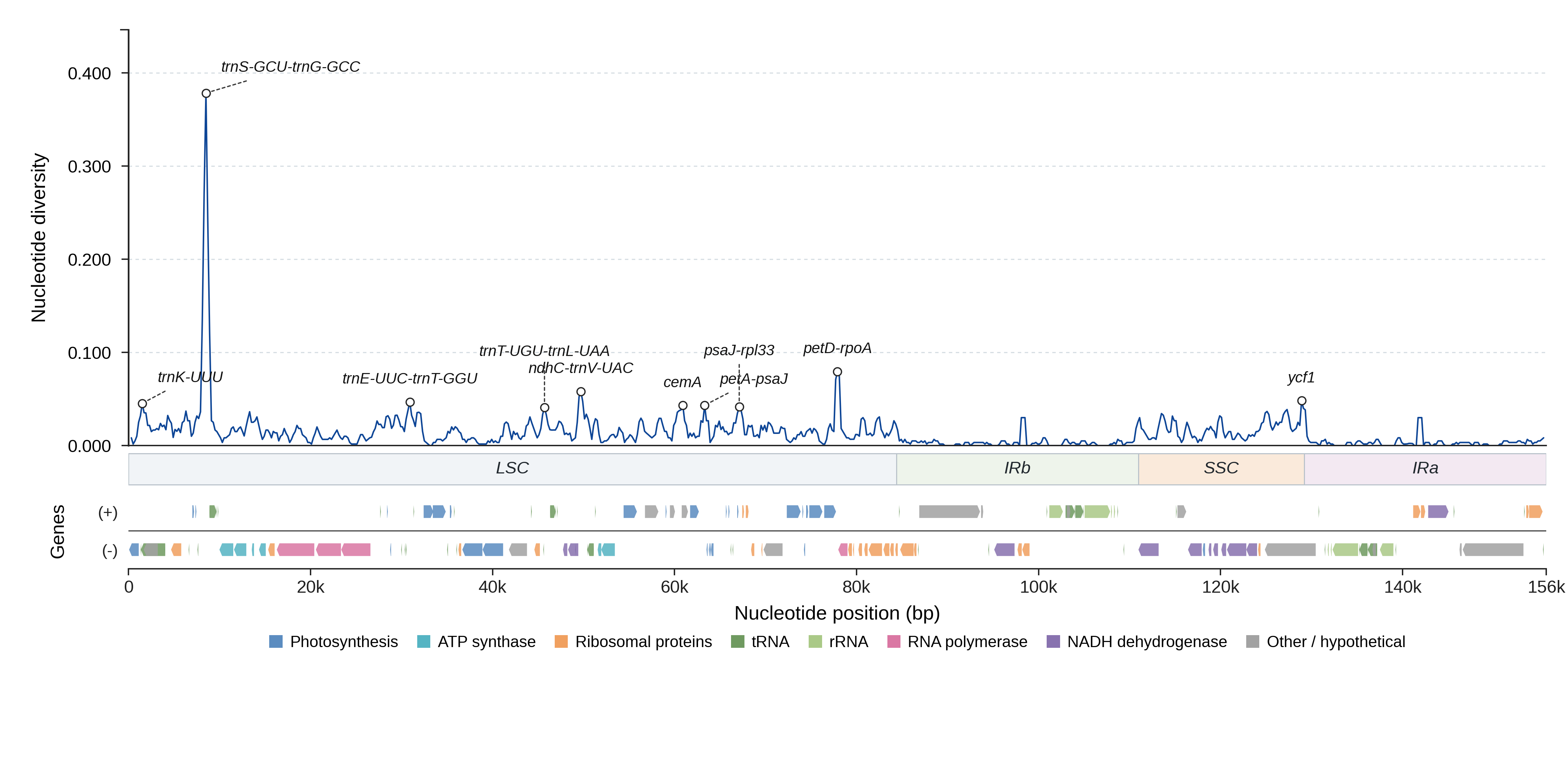 Sliding-window nucleotide diversity