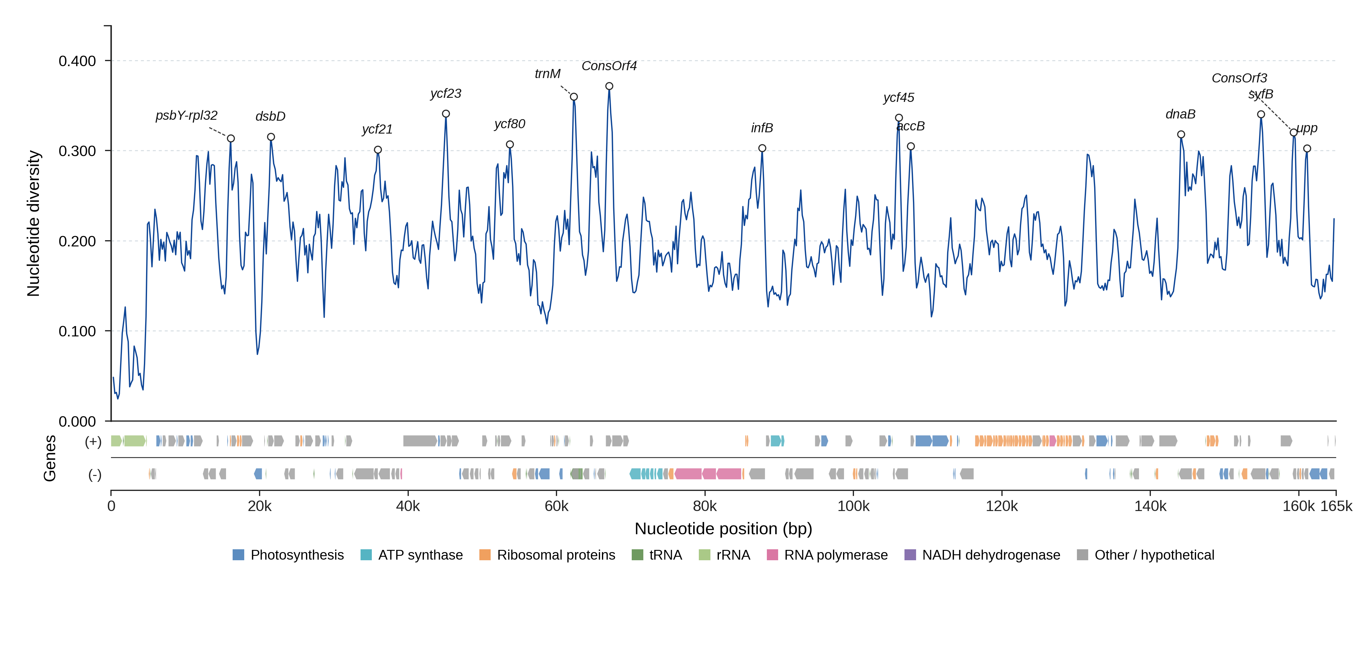 Sliding-window nucleotide diversity