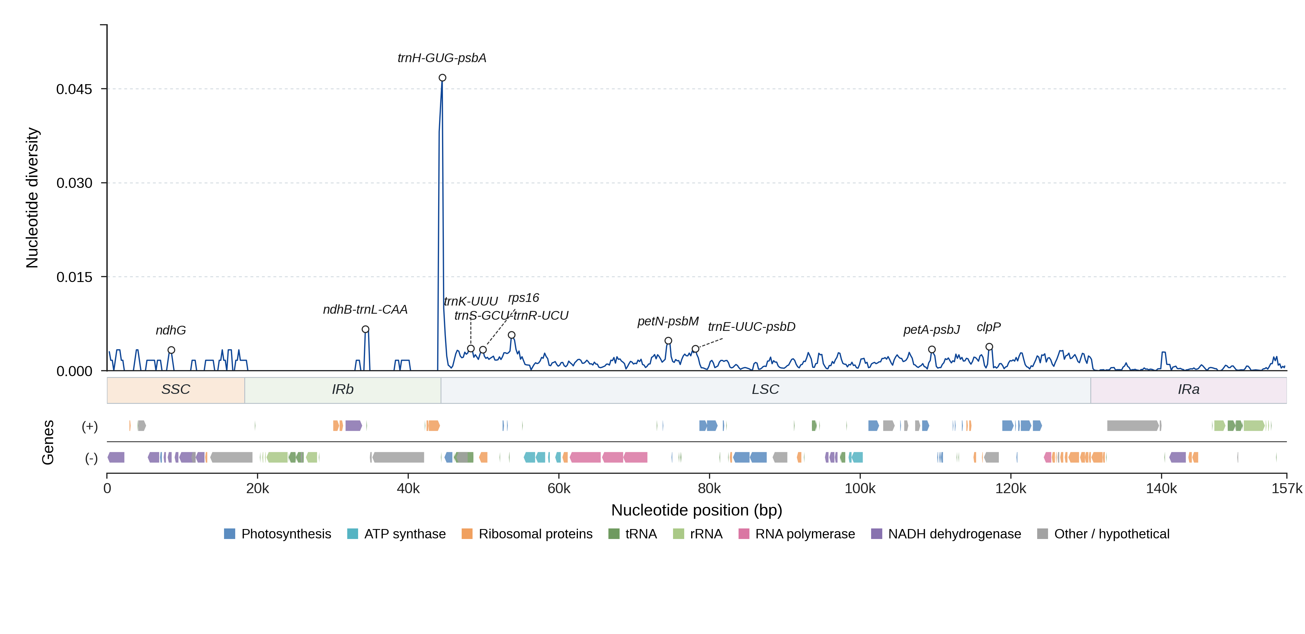 Sliding-window nucleotide diversity
