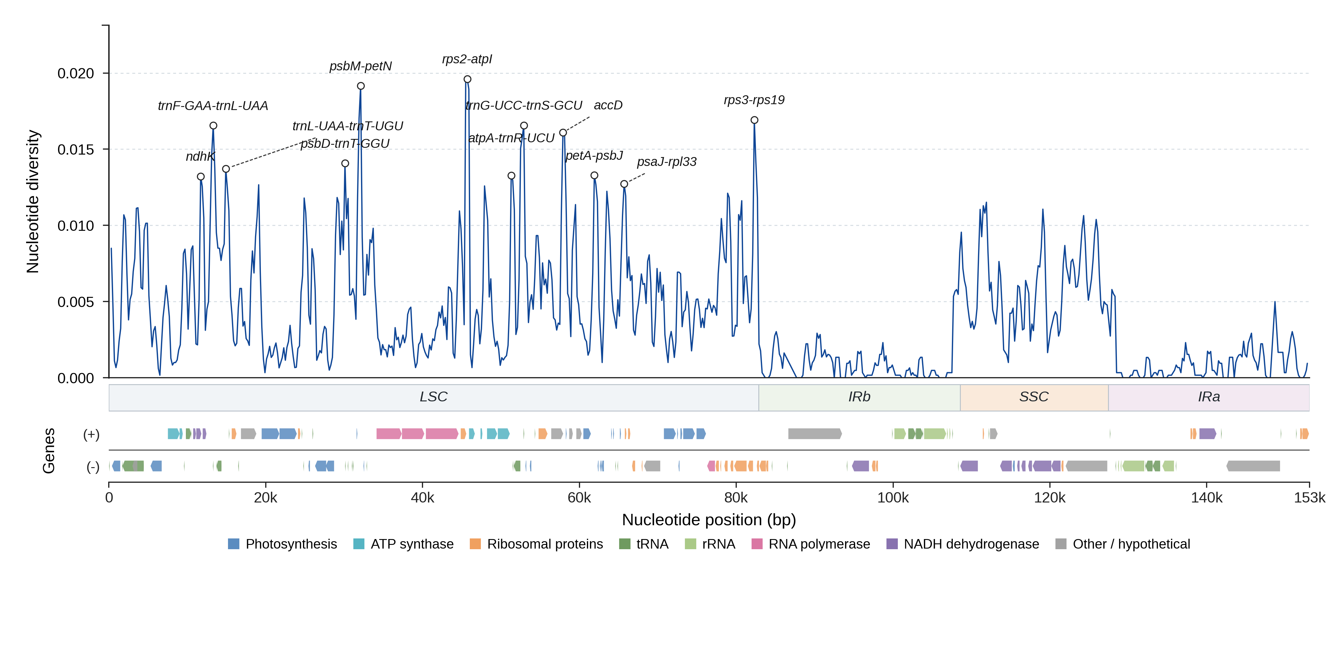 Sliding-window nucleotide diversity