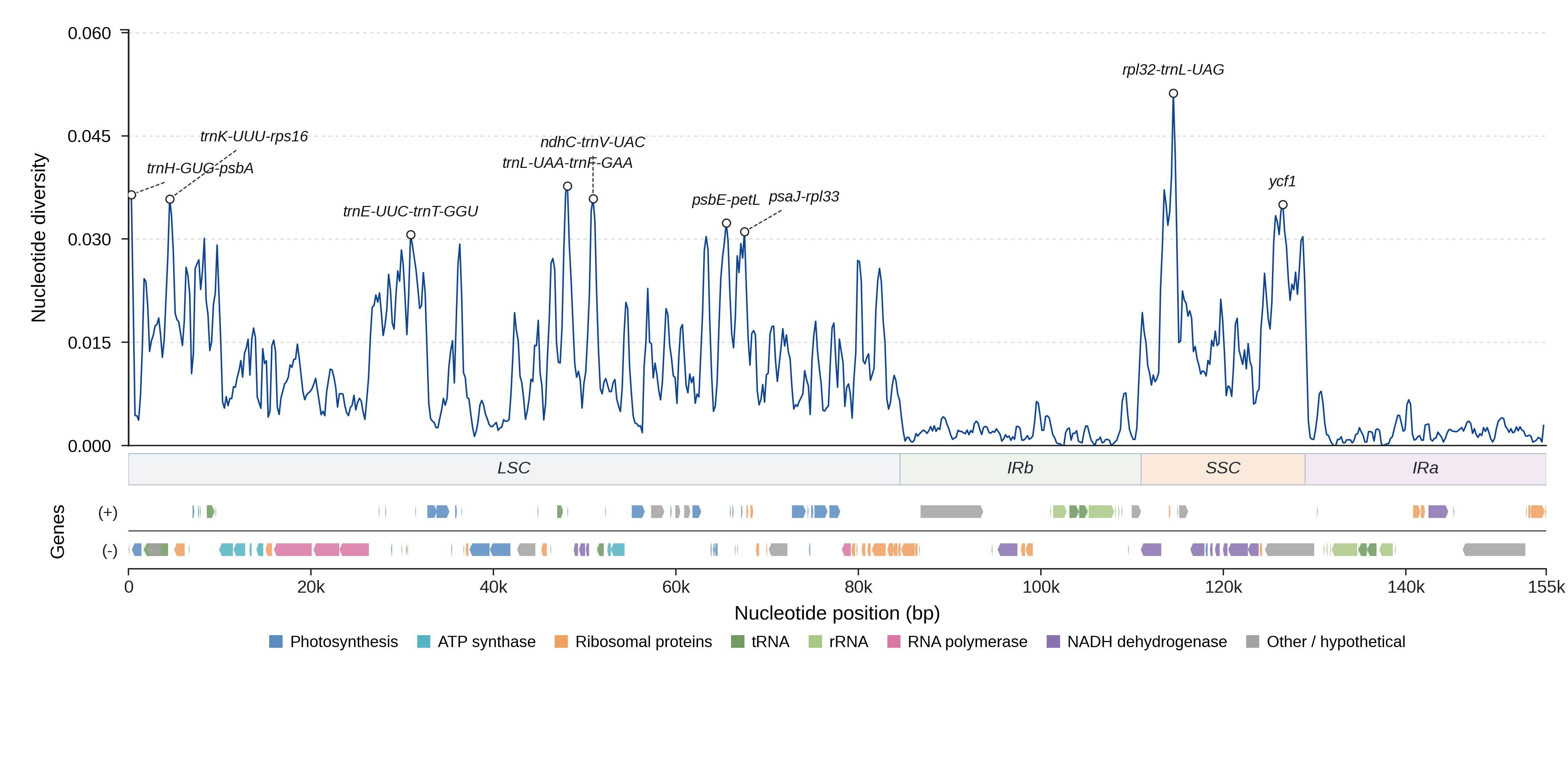 Sliding-window nucleotide diversity