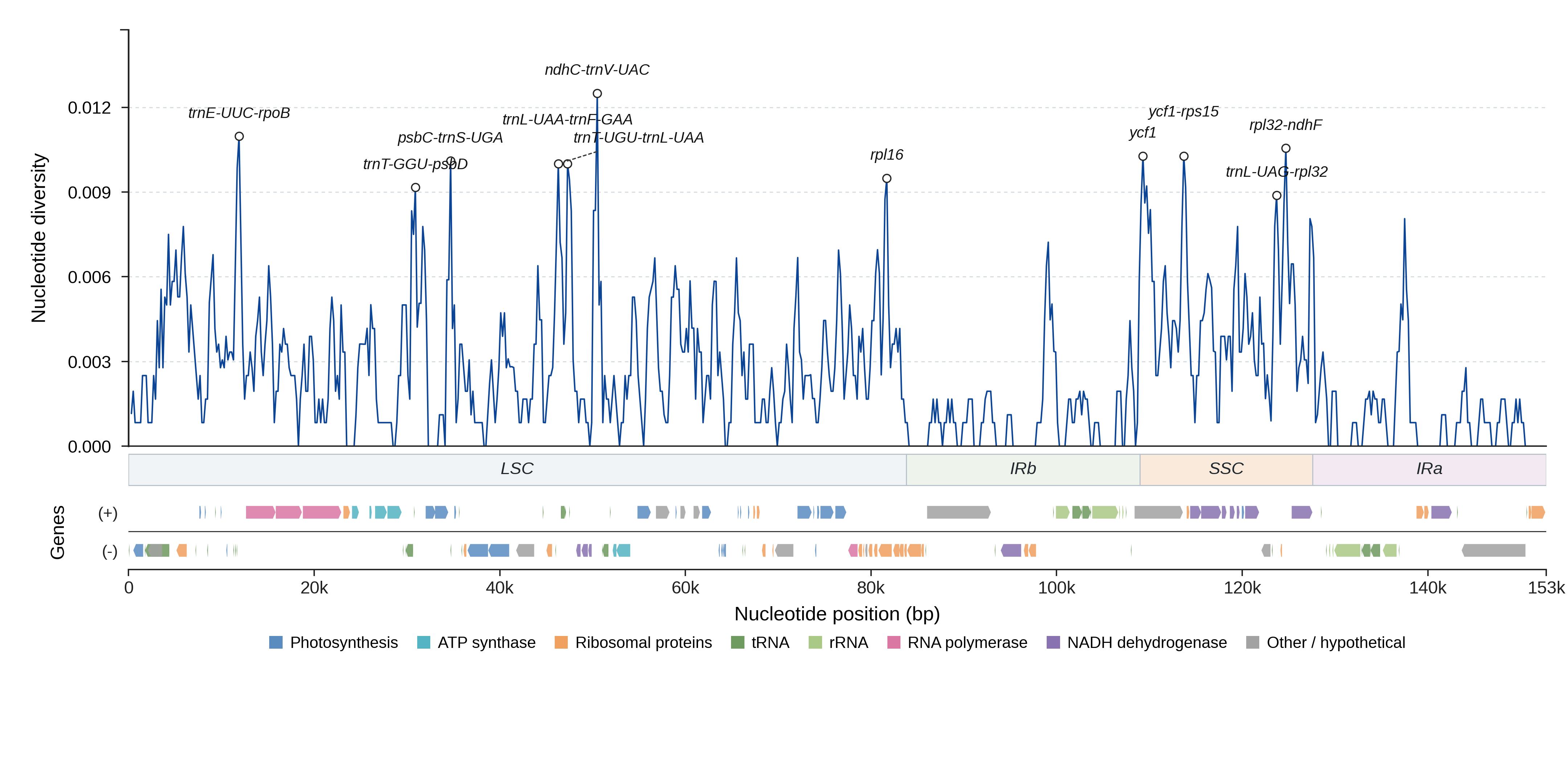 Sliding-window nucleotide diversity