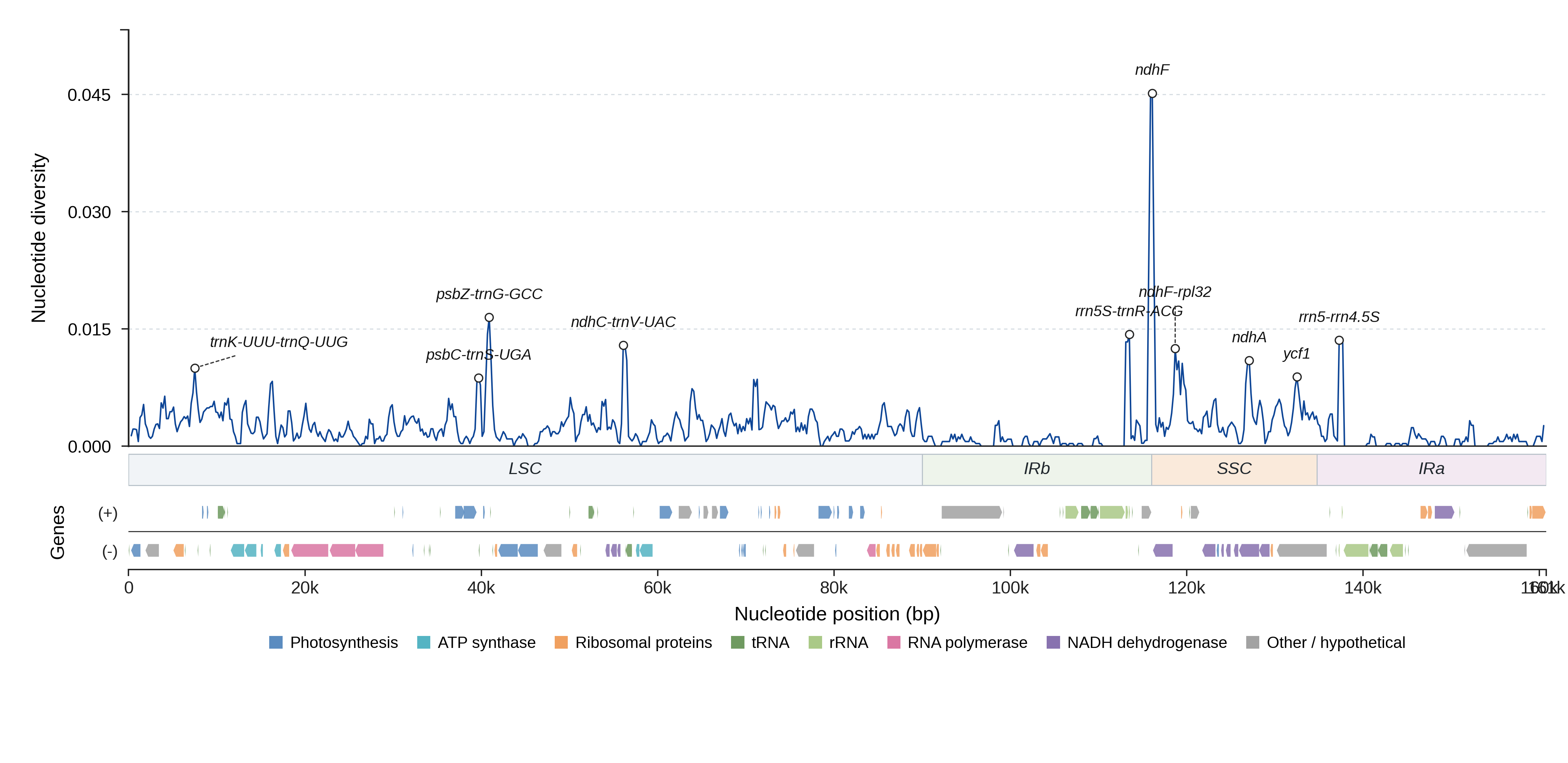 Sliding-window nucleotide diversity