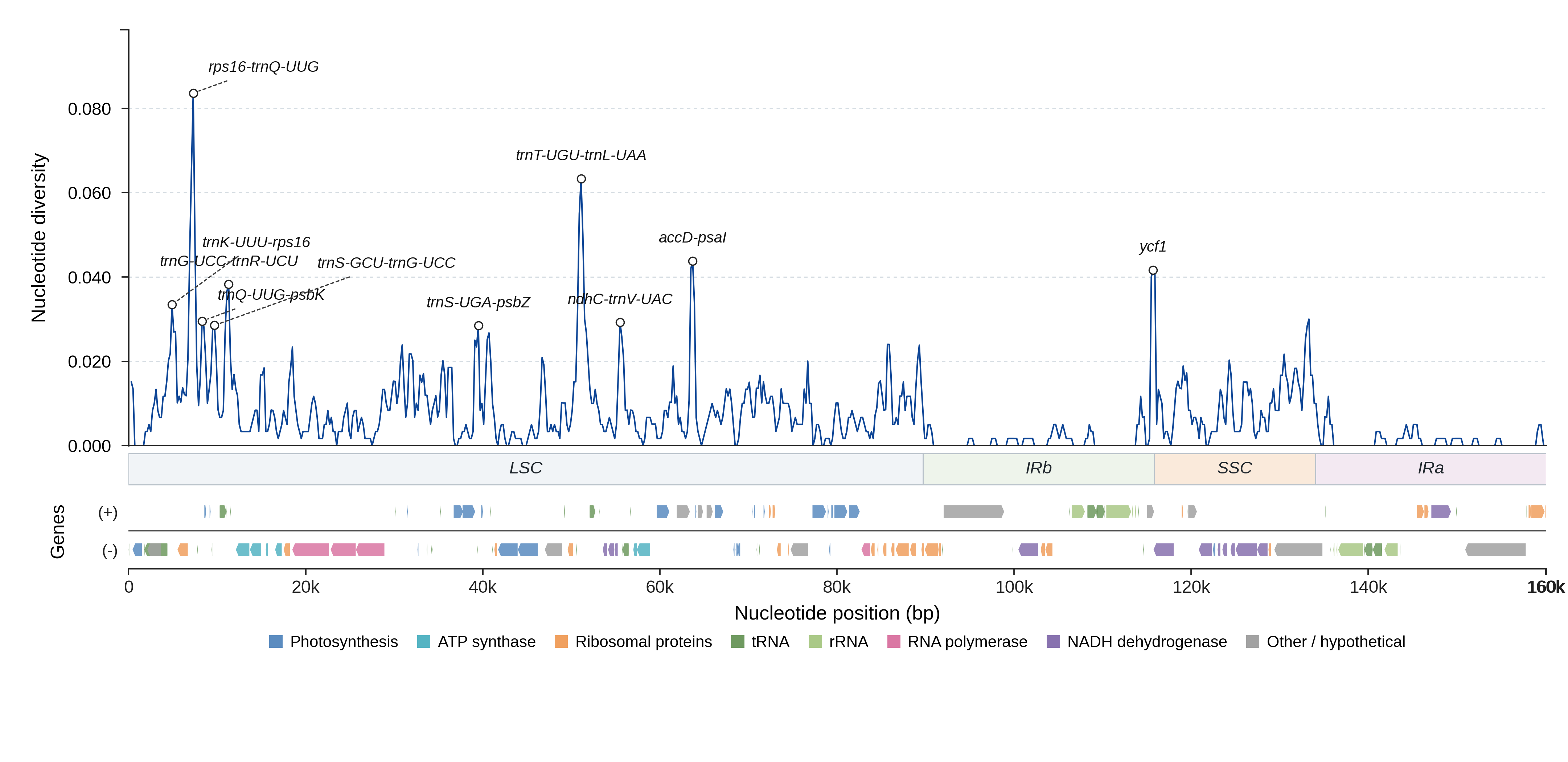 Sliding-window nucleotide diversity