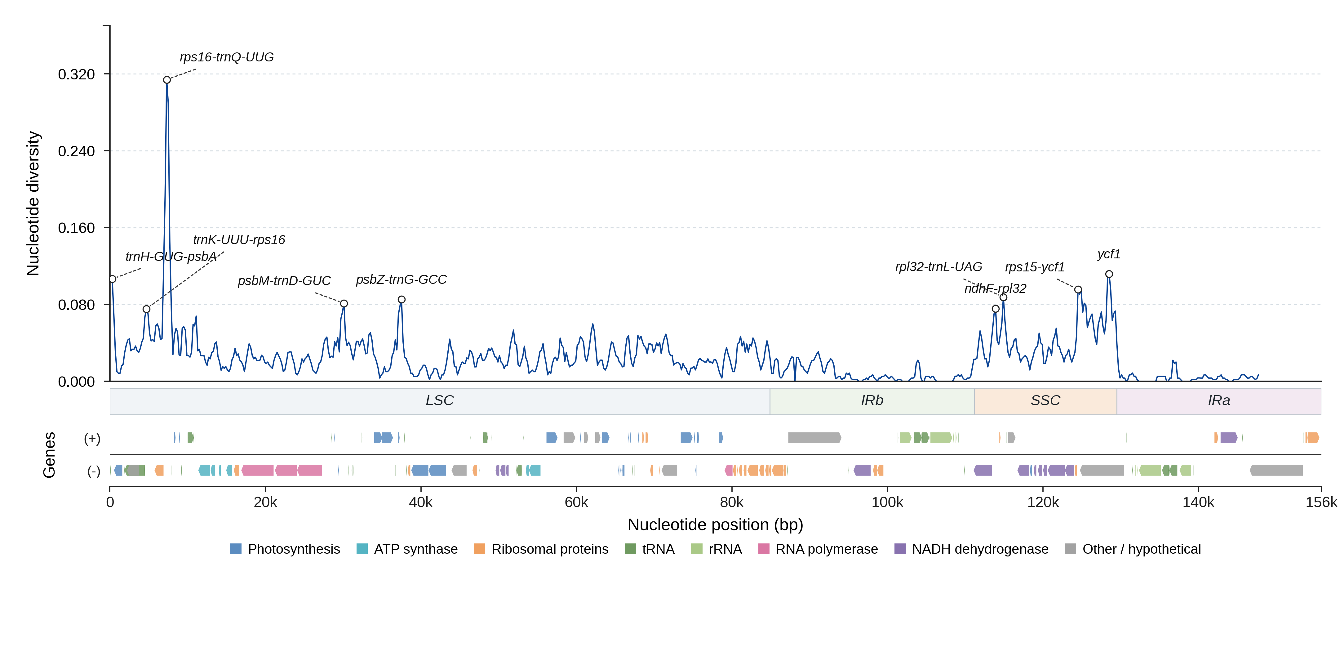 Sliding-window nucleotide diversity