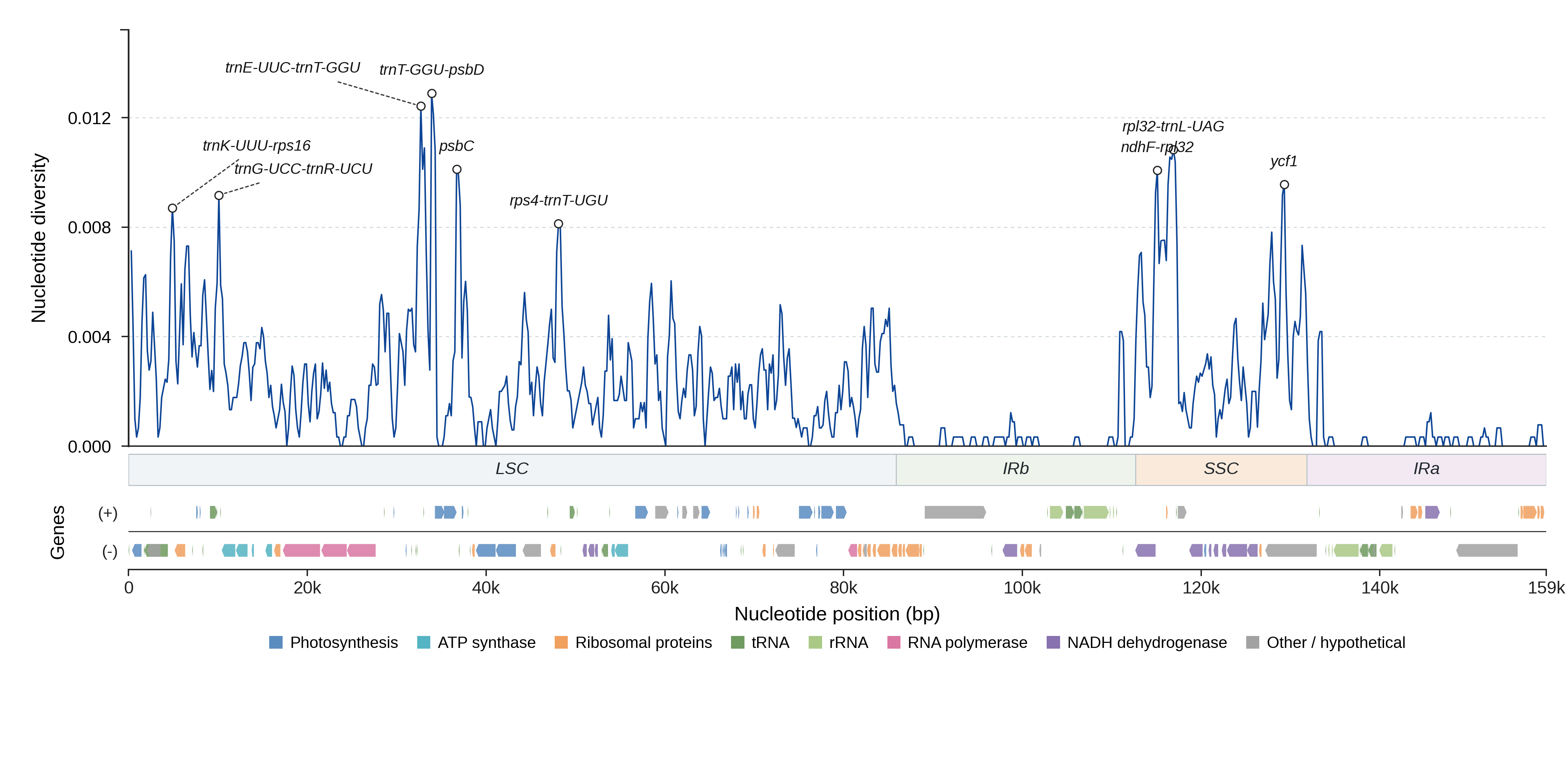 Sliding-window nucleotide diversity