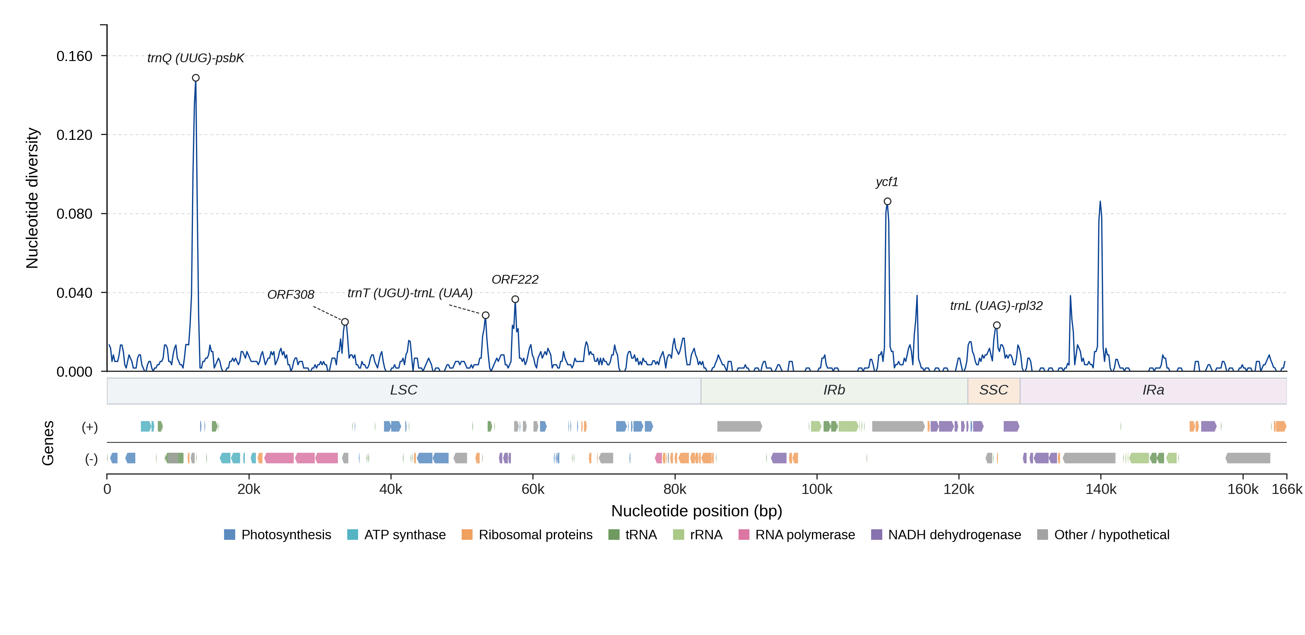 Sliding-window nucleotide diversity