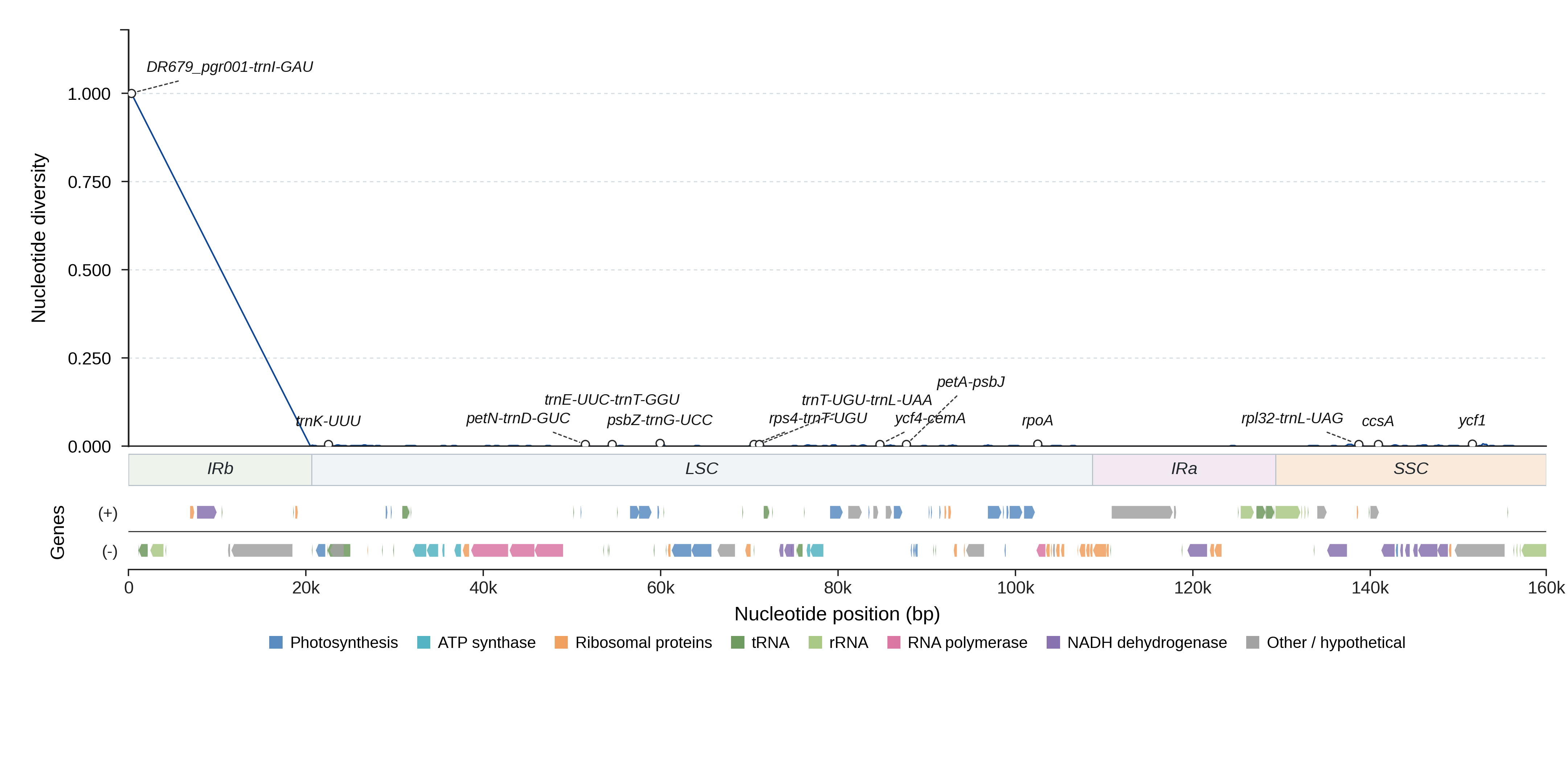Sliding-window nucleotide diversity
