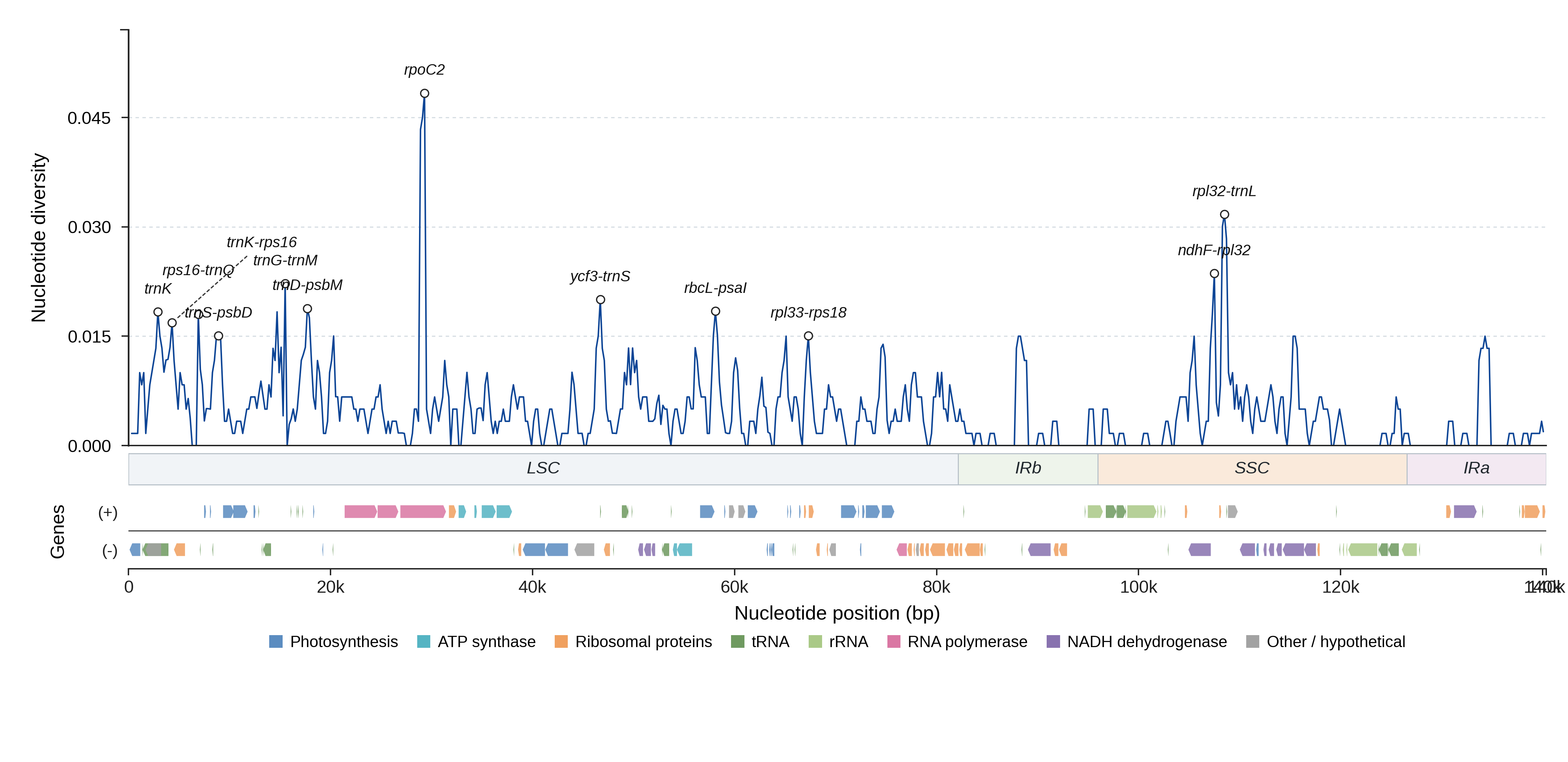 Sliding-window nucleotide diversity