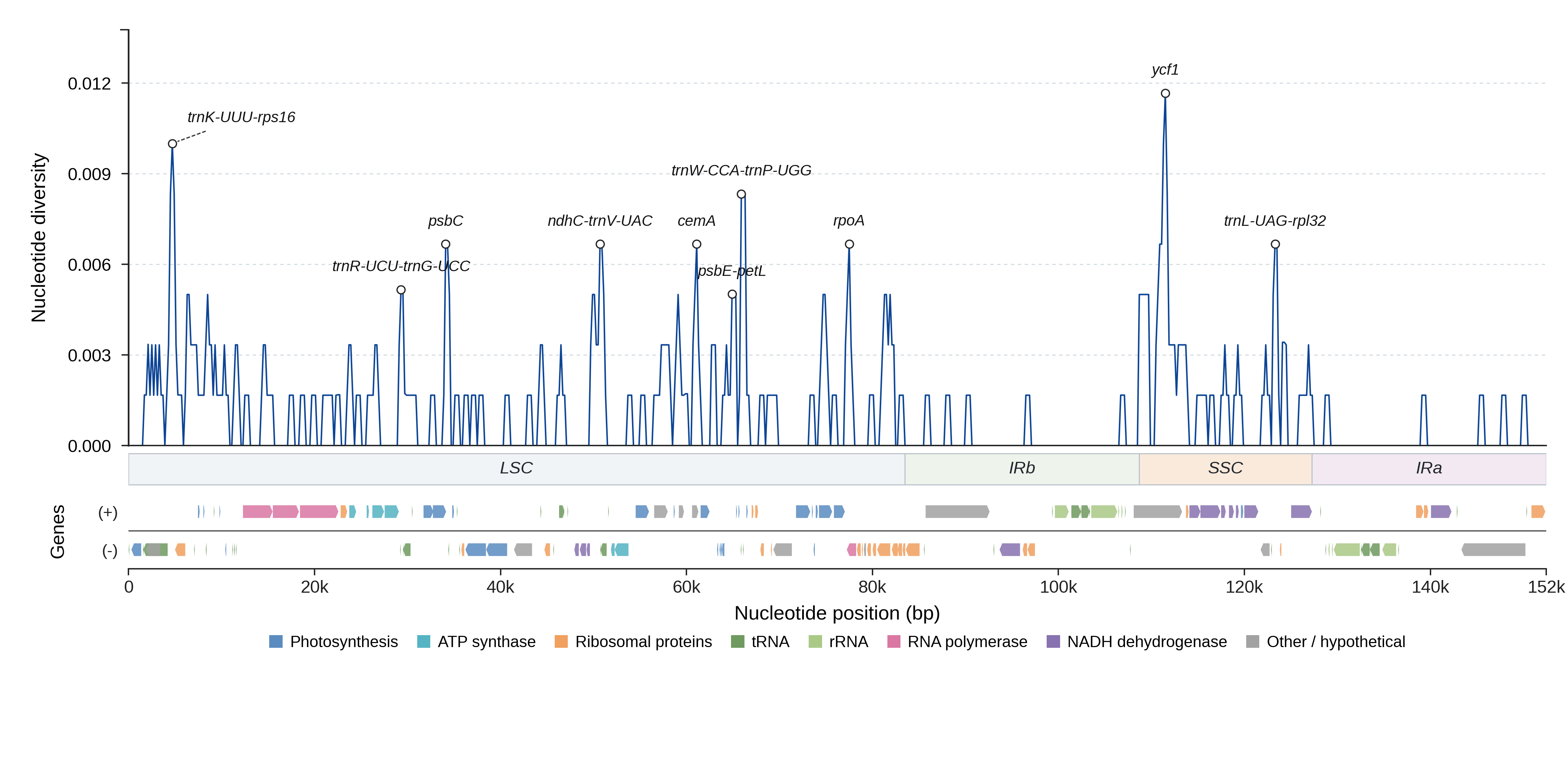 Sliding-window nucleotide diversity