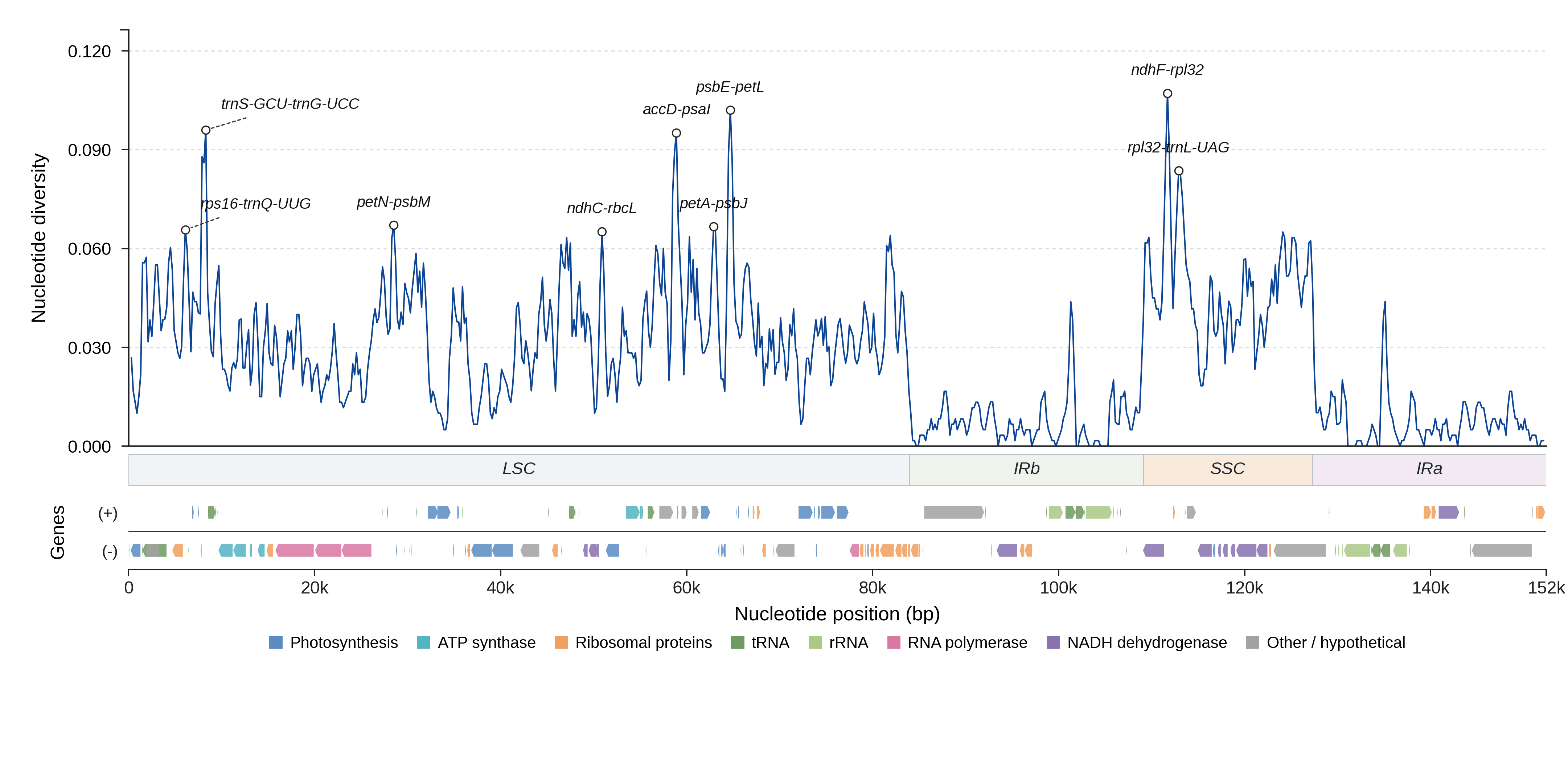 Sliding-window nucleotide diversity