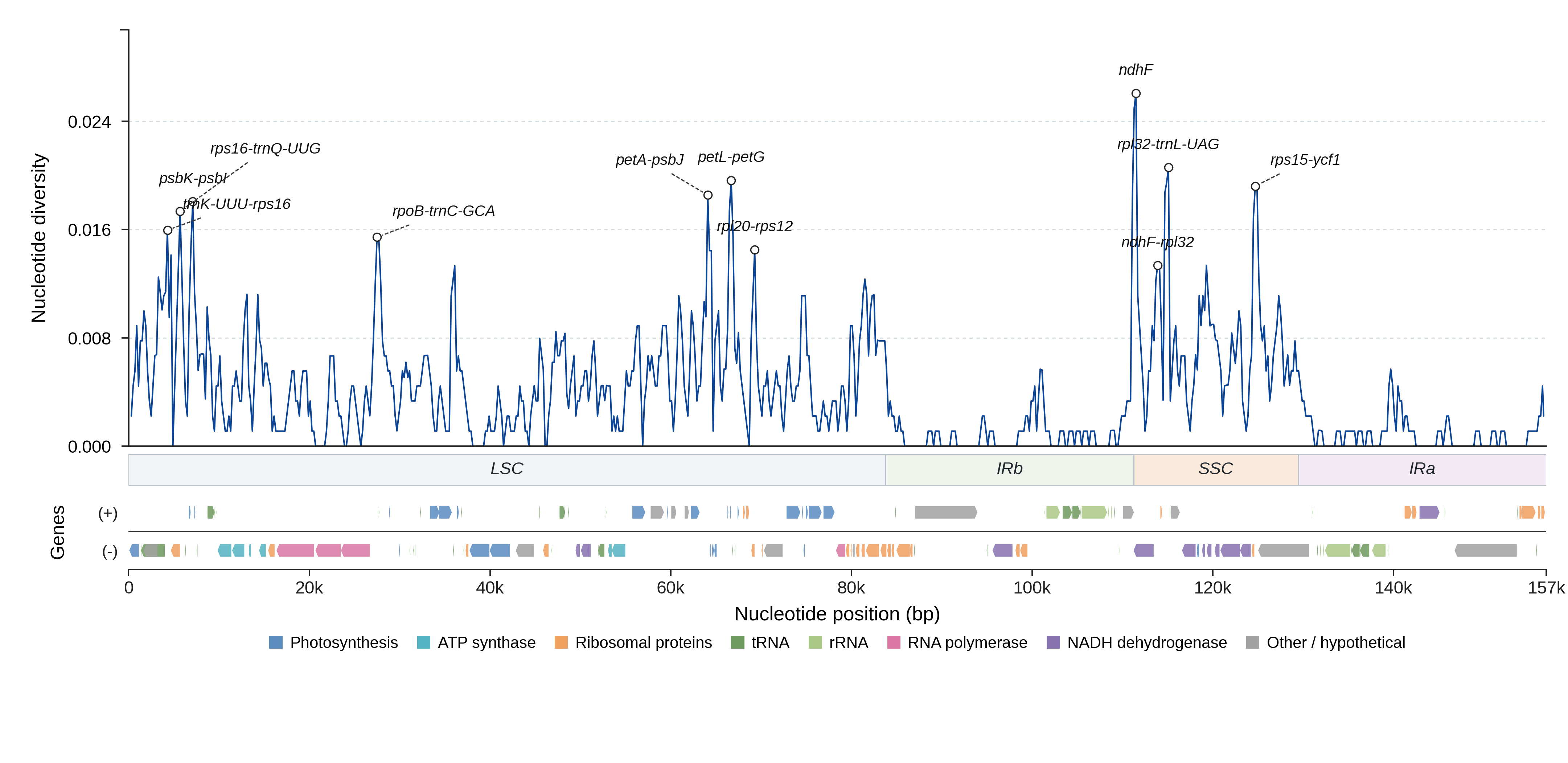 Sliding-window nucleotide diversity