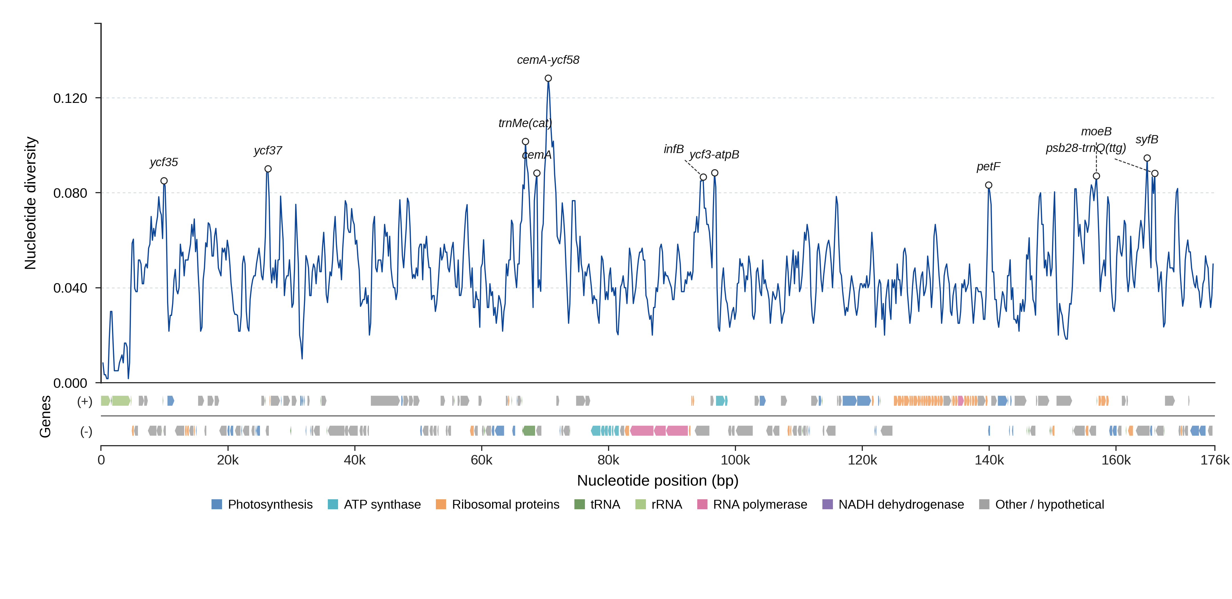 Sliding-window nucleotide diversity