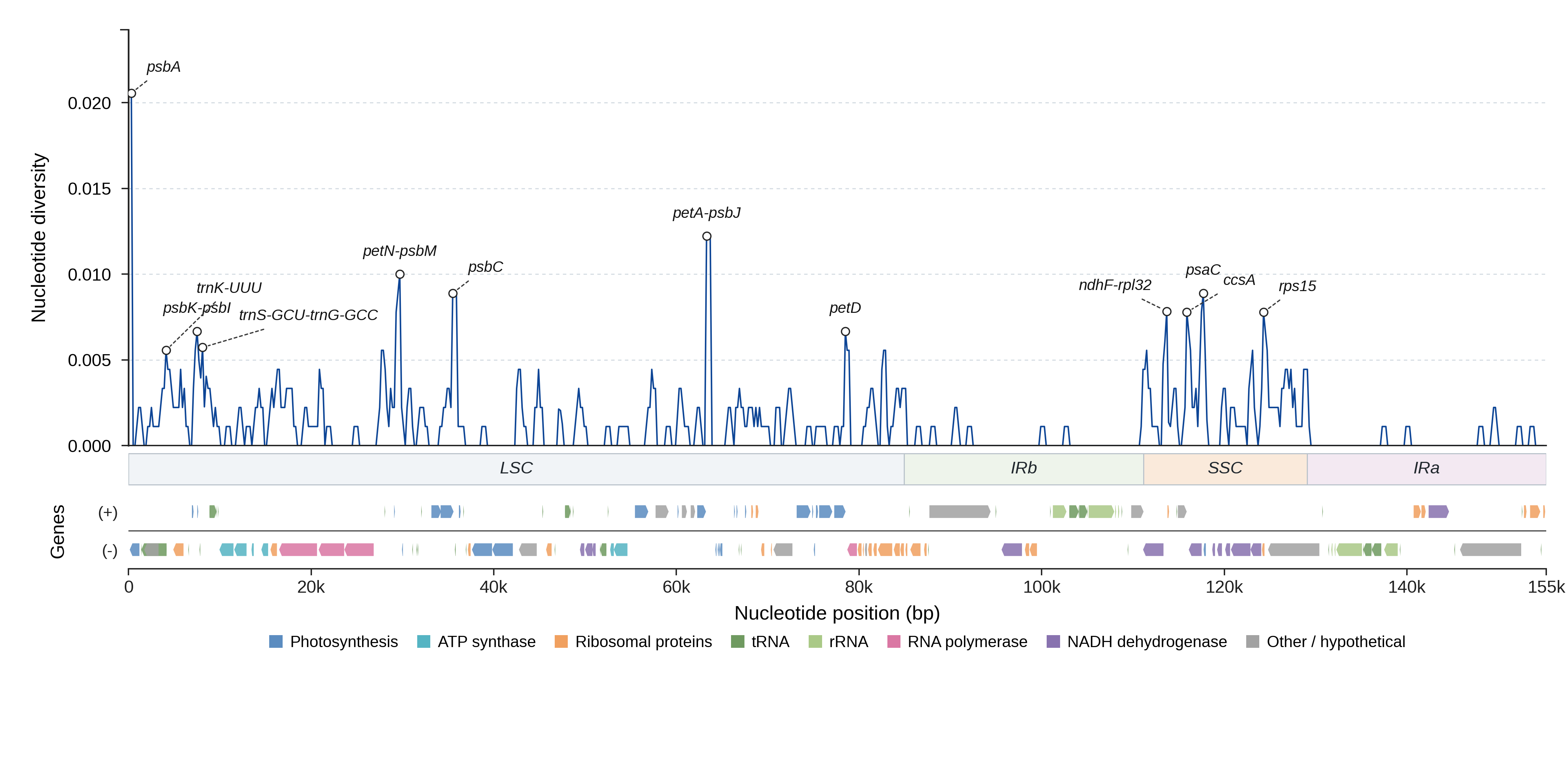 Sliding-window nucleotide diversity