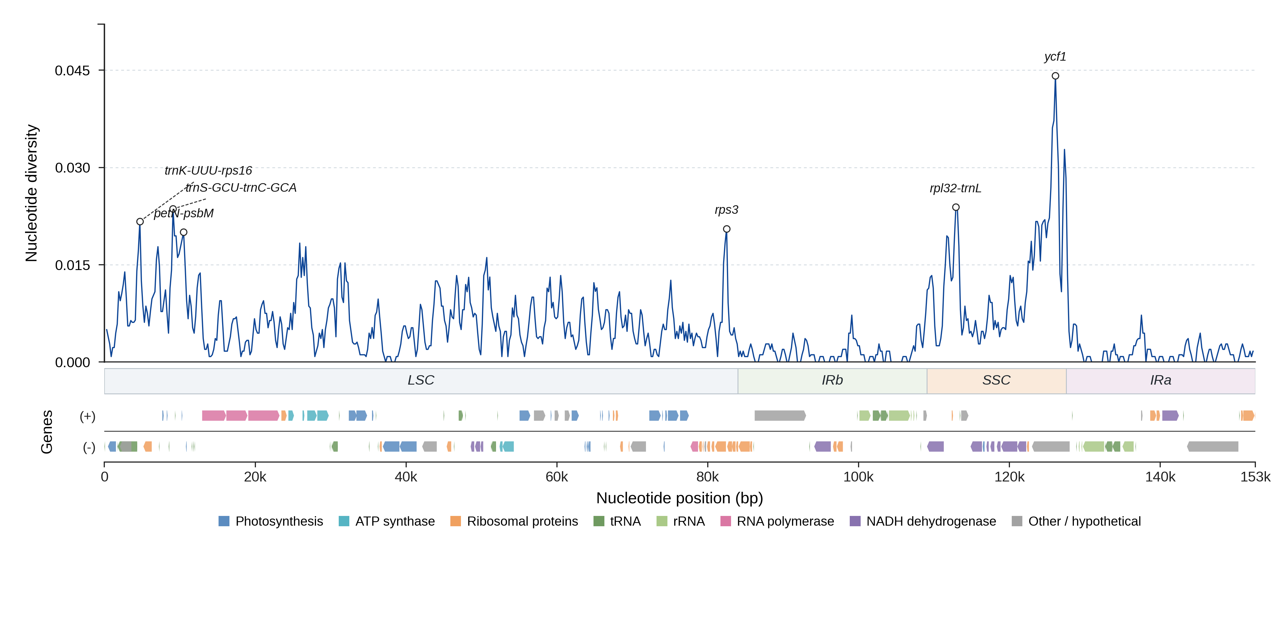 Sliding-window nucleotide diversity