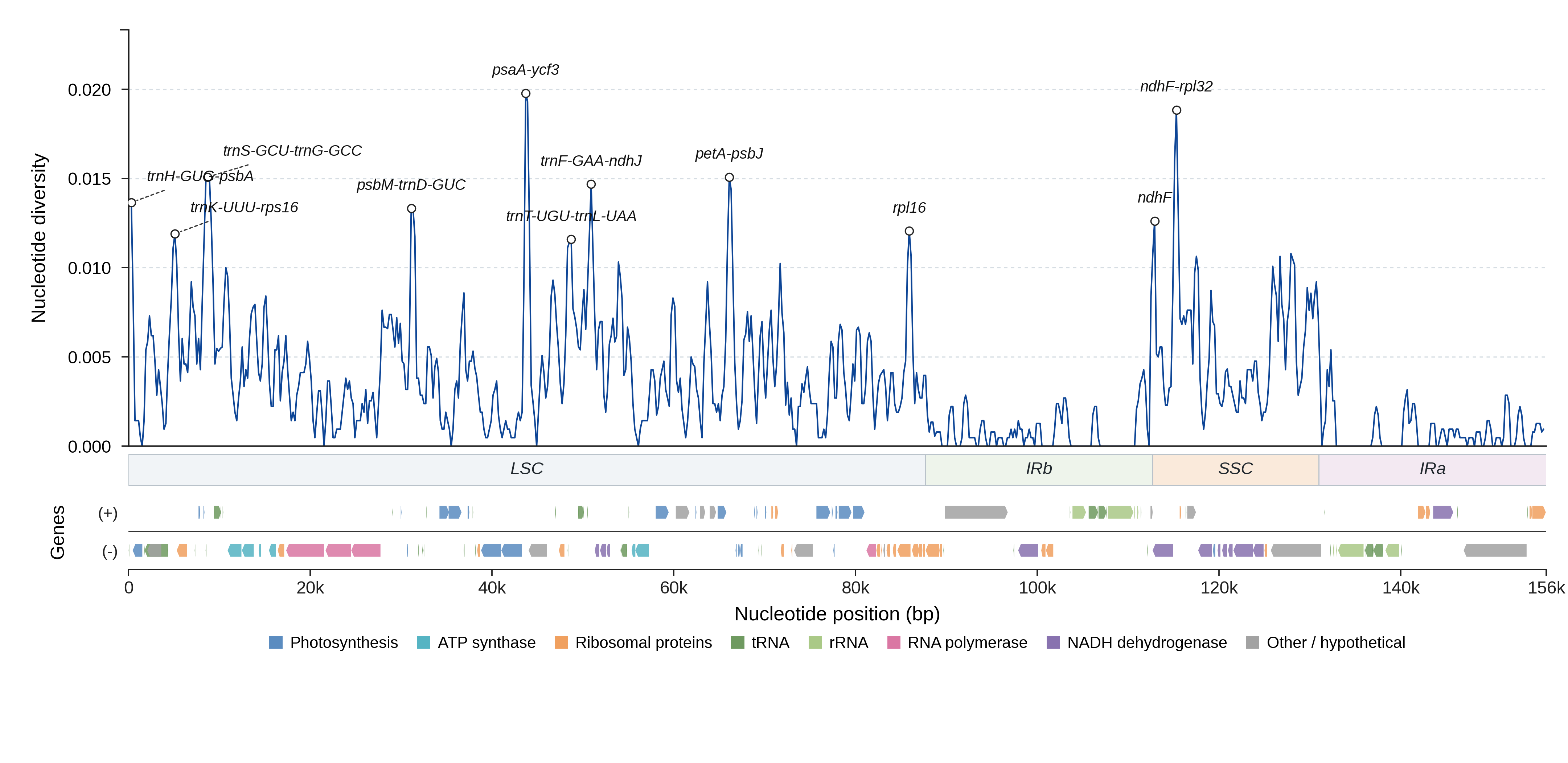Sliding-window nucleotide diversity