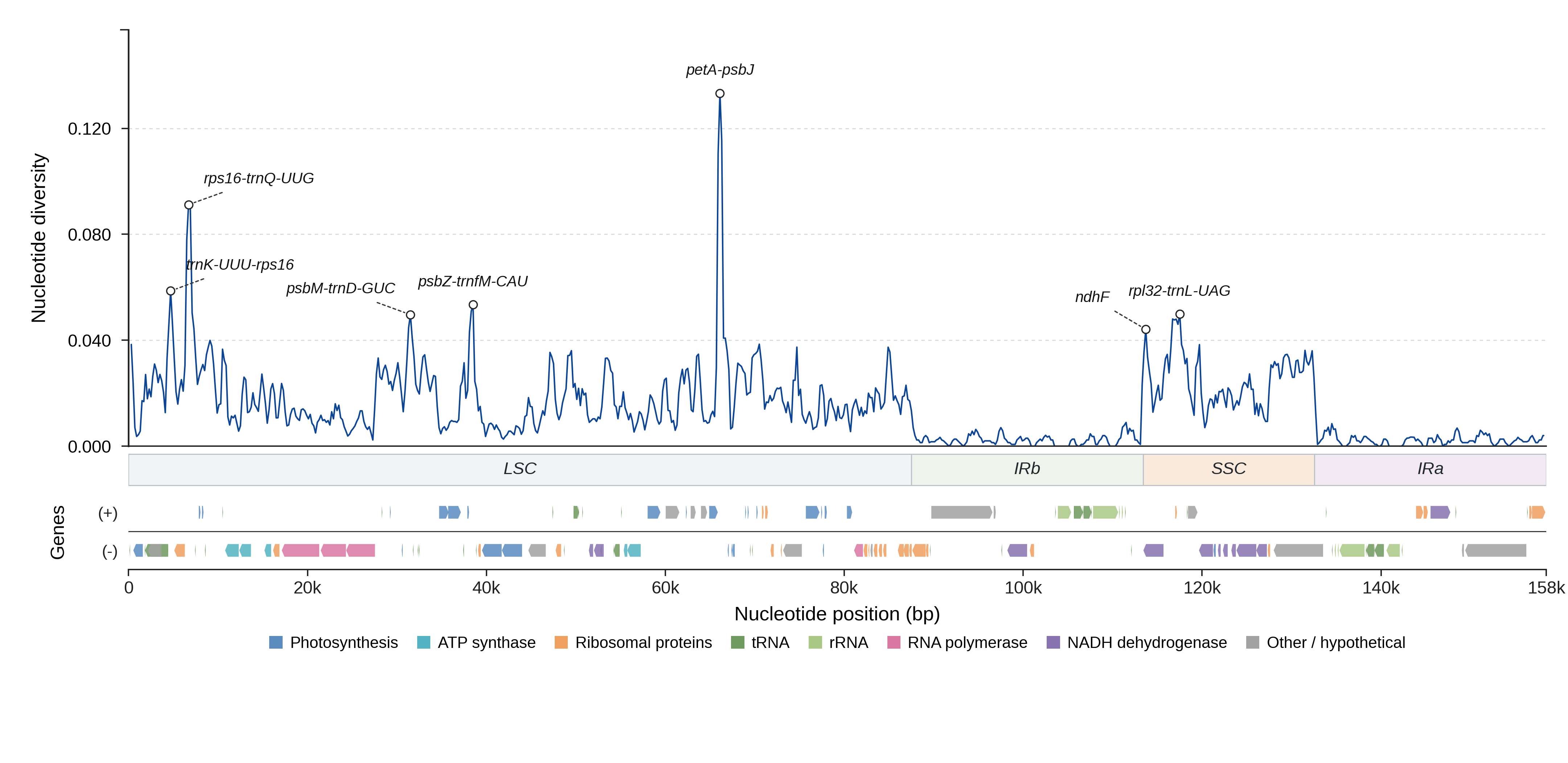 Sliding-window nucleotide diversity