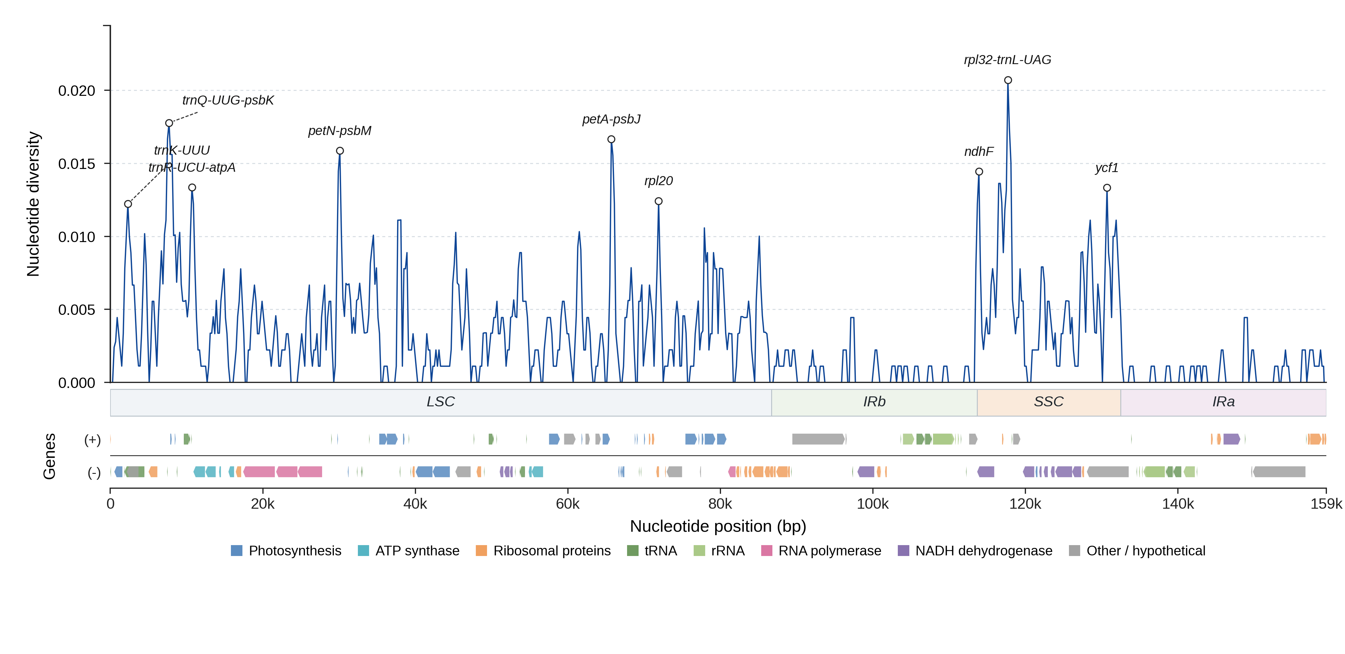 Sliding-window nucleotide diversity