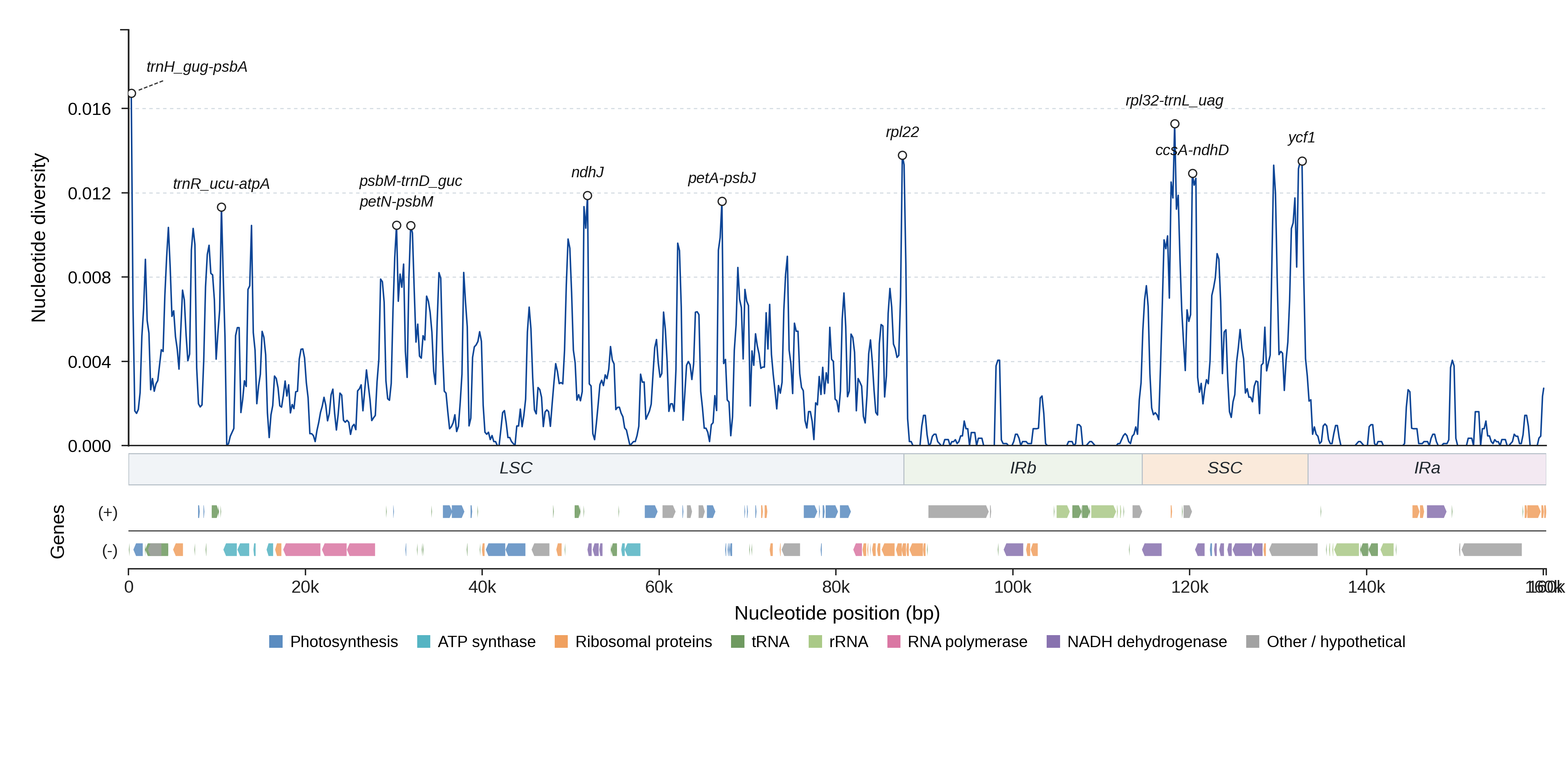 Sliding-window nucleotide diversity
