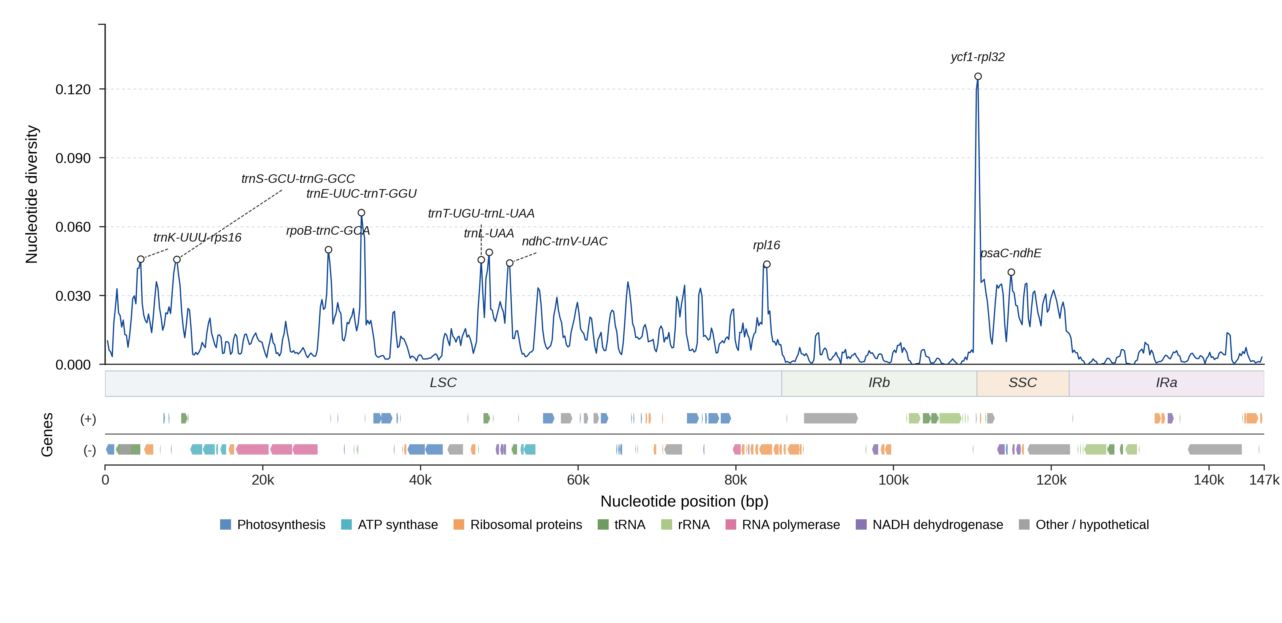 Sliding-window nucleotide diversity