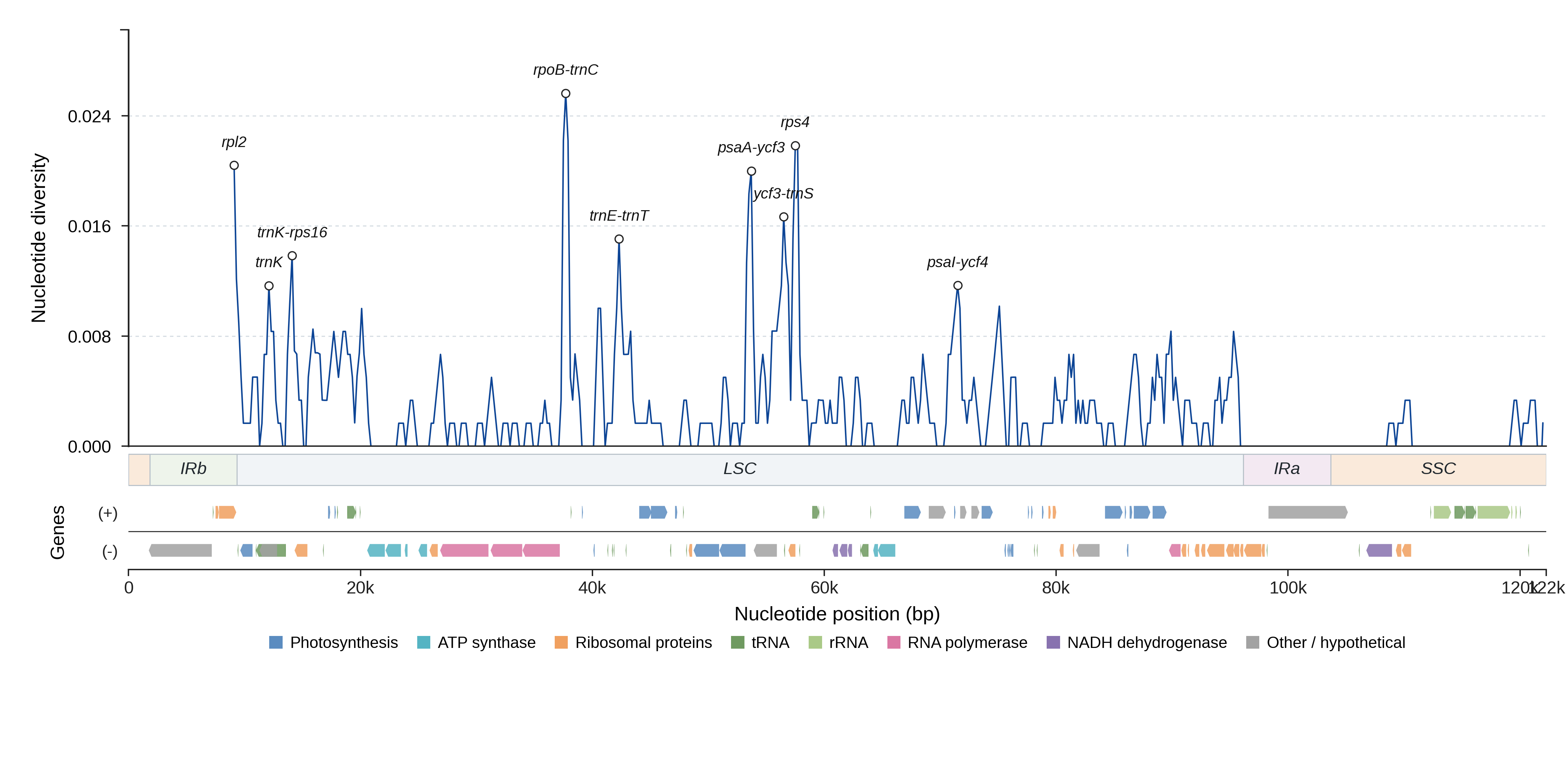 Sliding-window nucleotide diversity