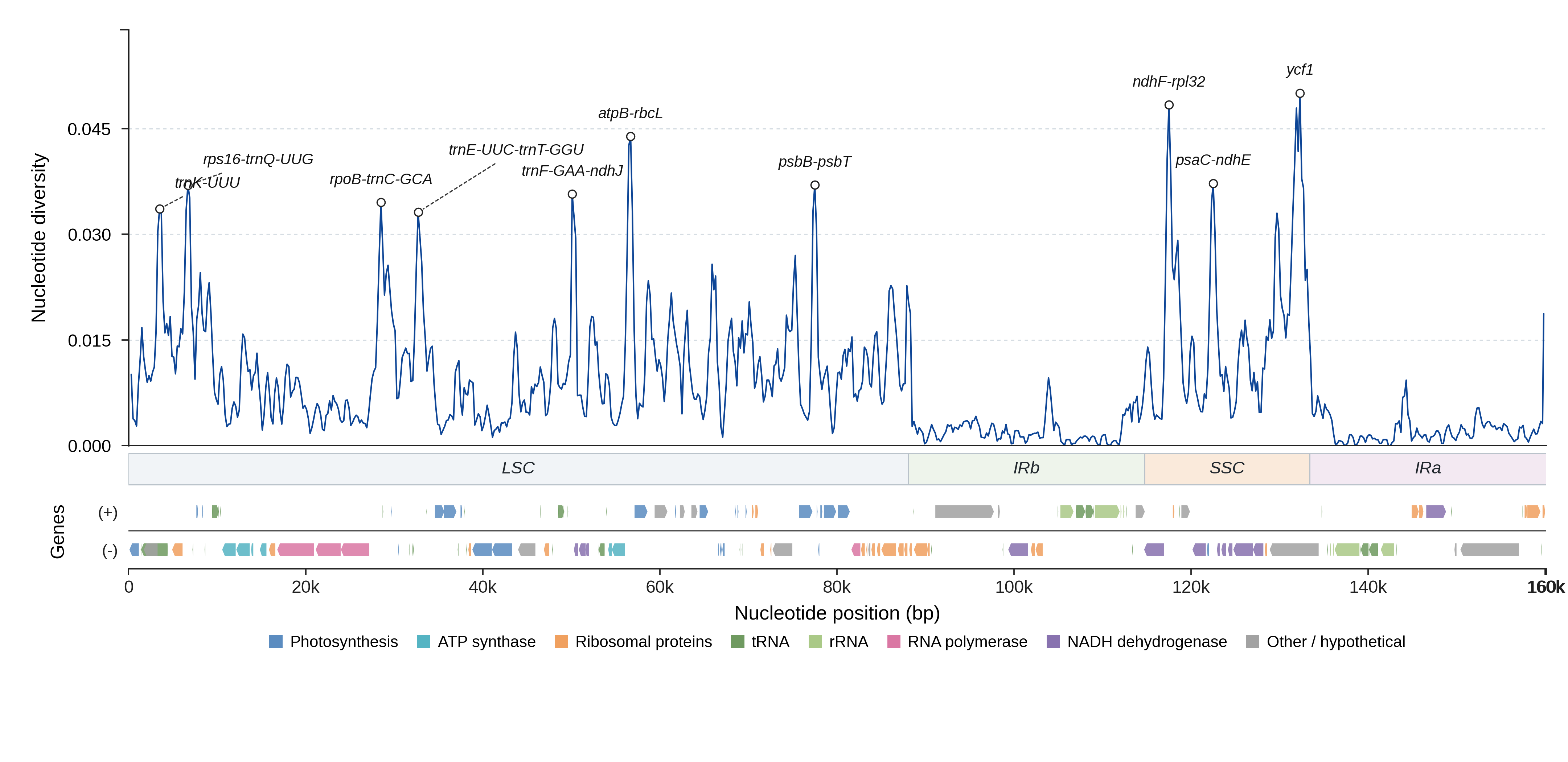Sliding-window nucleotide diversity