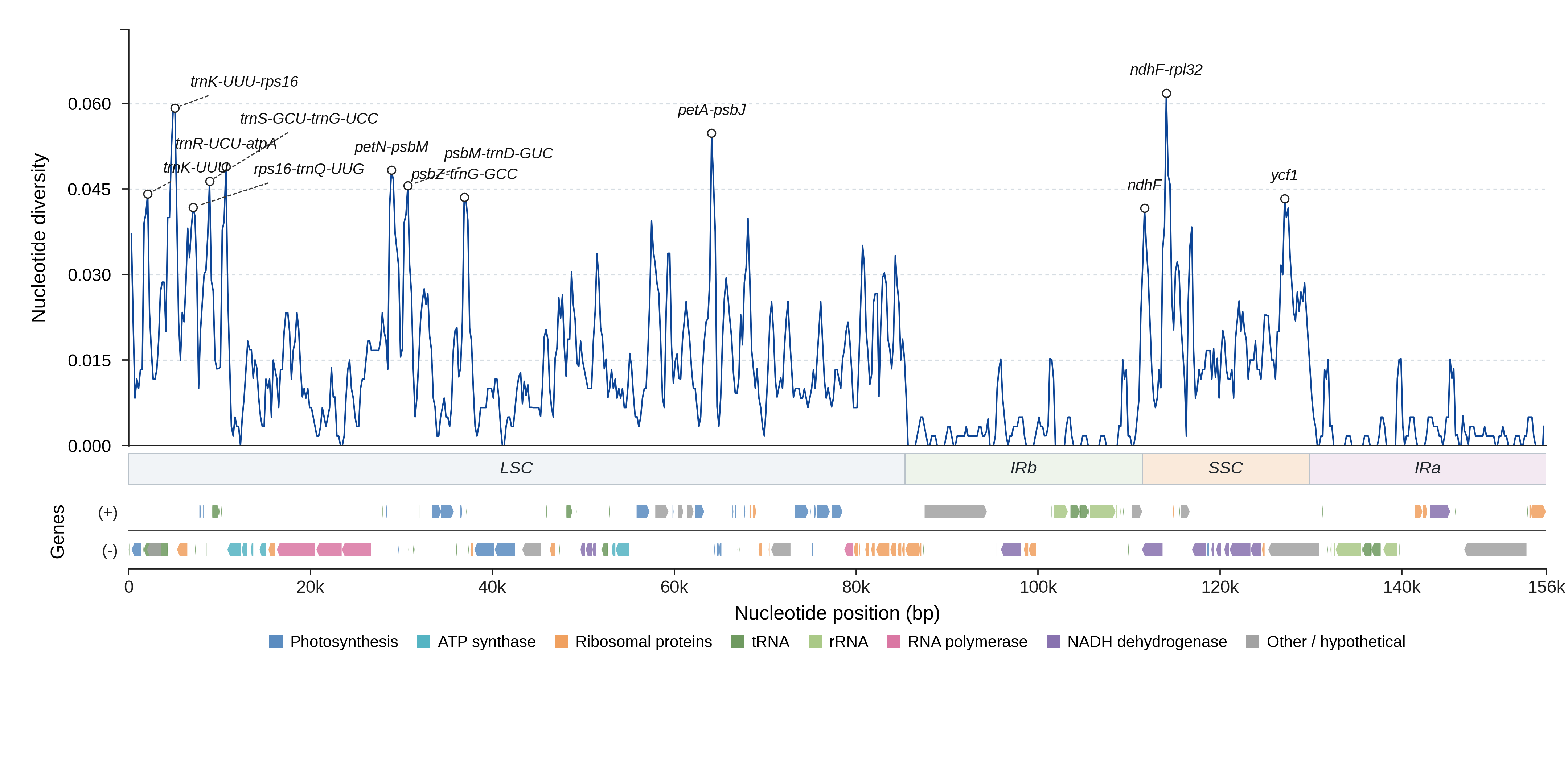Sliding-window nucleotide diversity