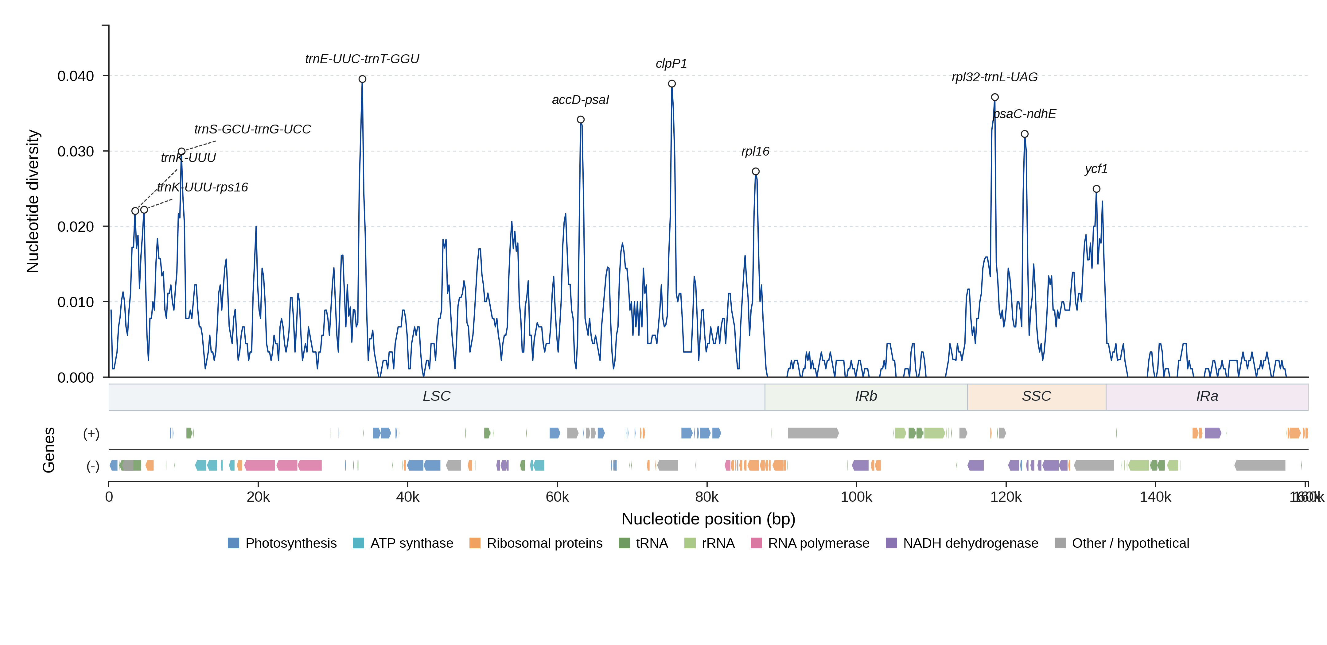 Sliding-window nucleotide diversity