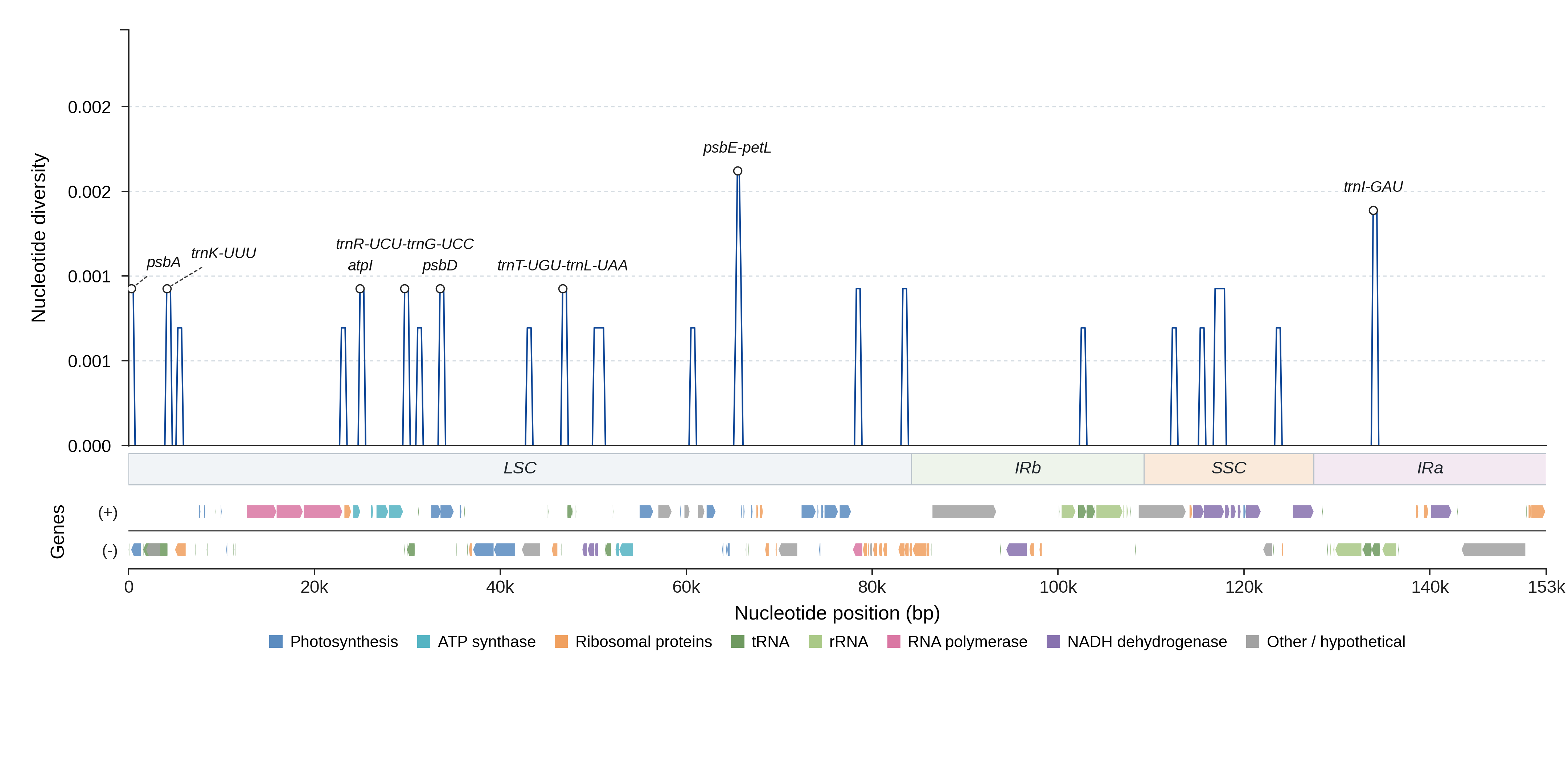Sliding-window nucleotide diversity