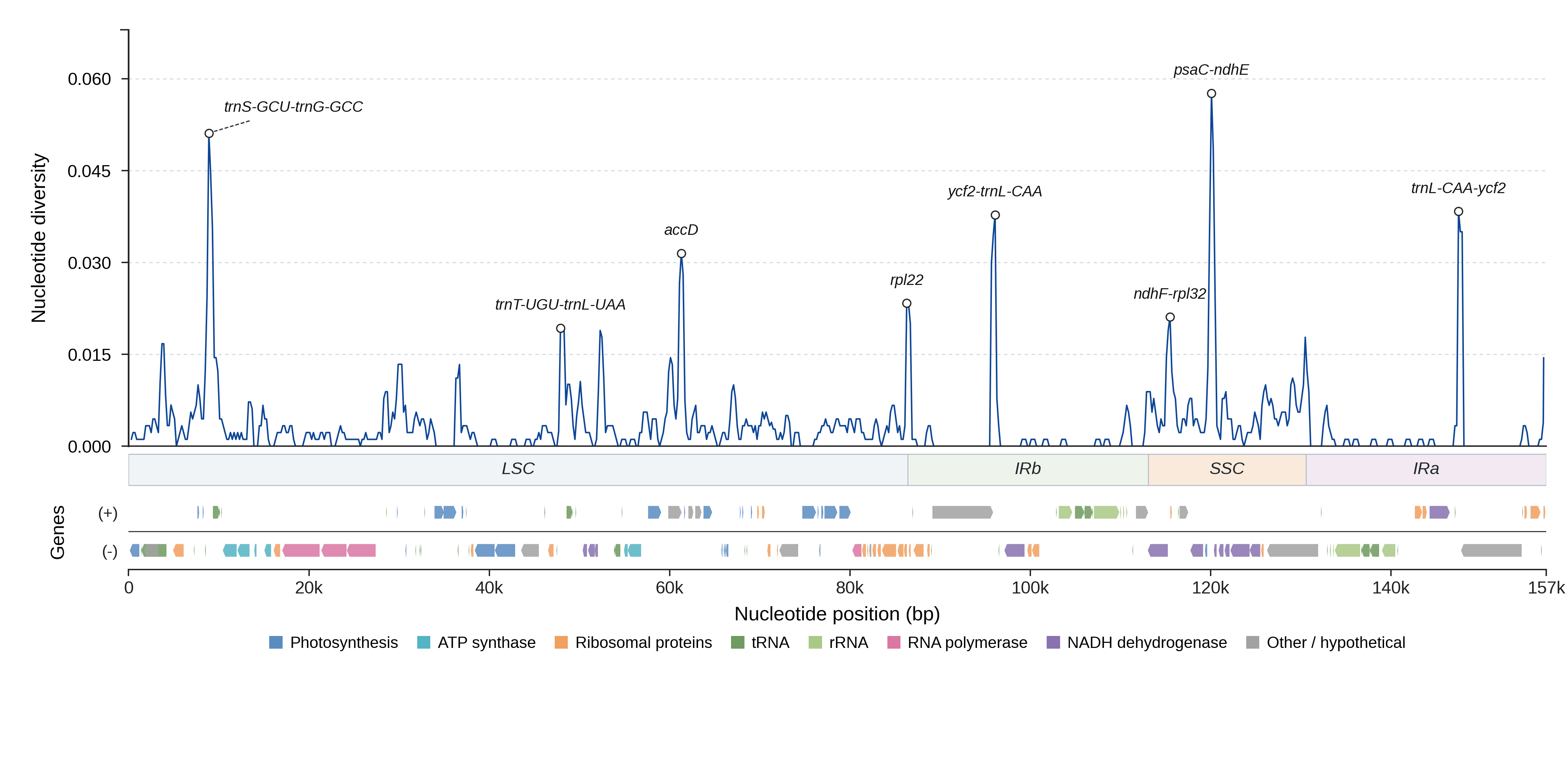 Sliding-window nucleotide diversity