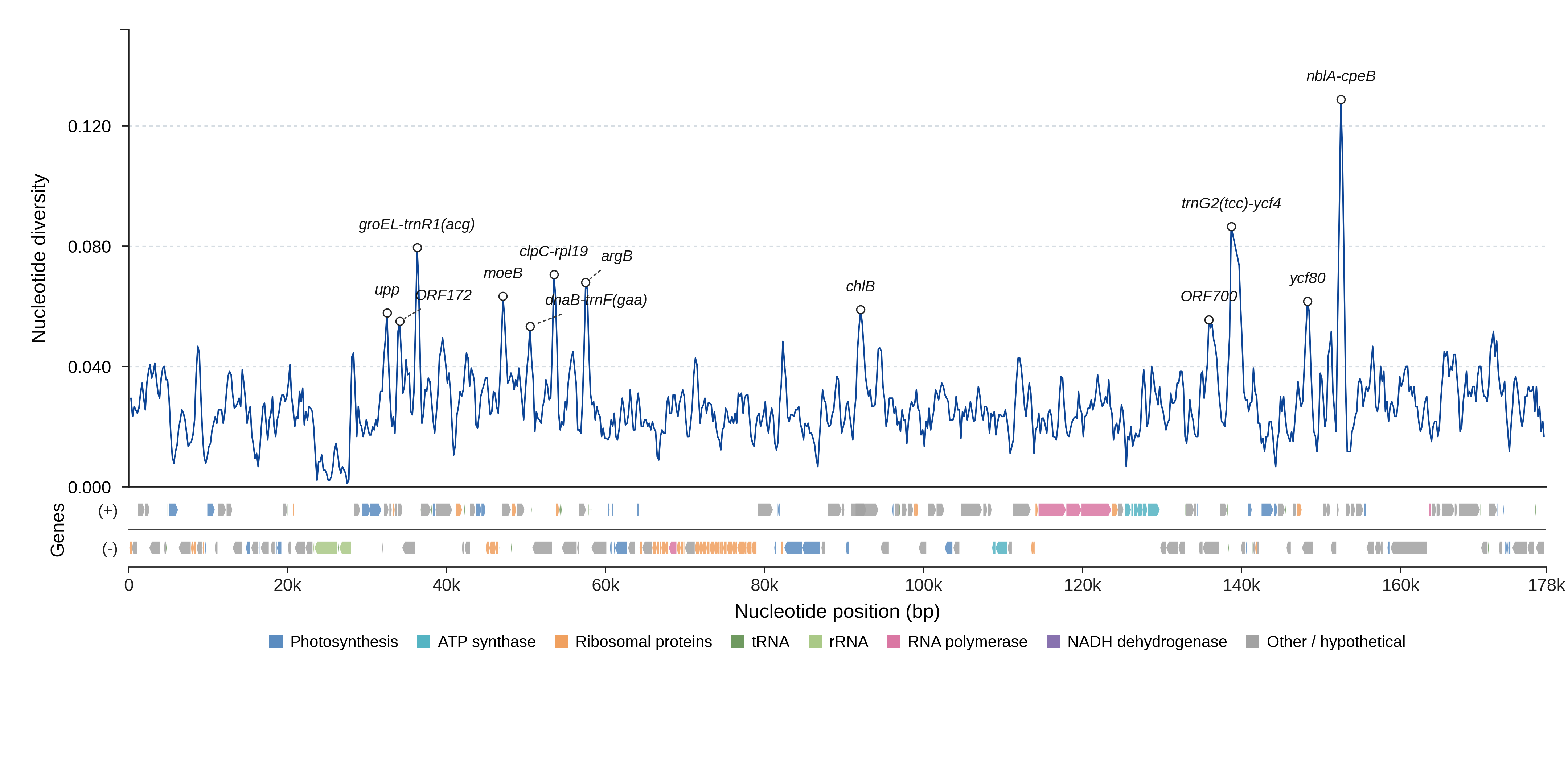 Sliding-window nucleotide diversity