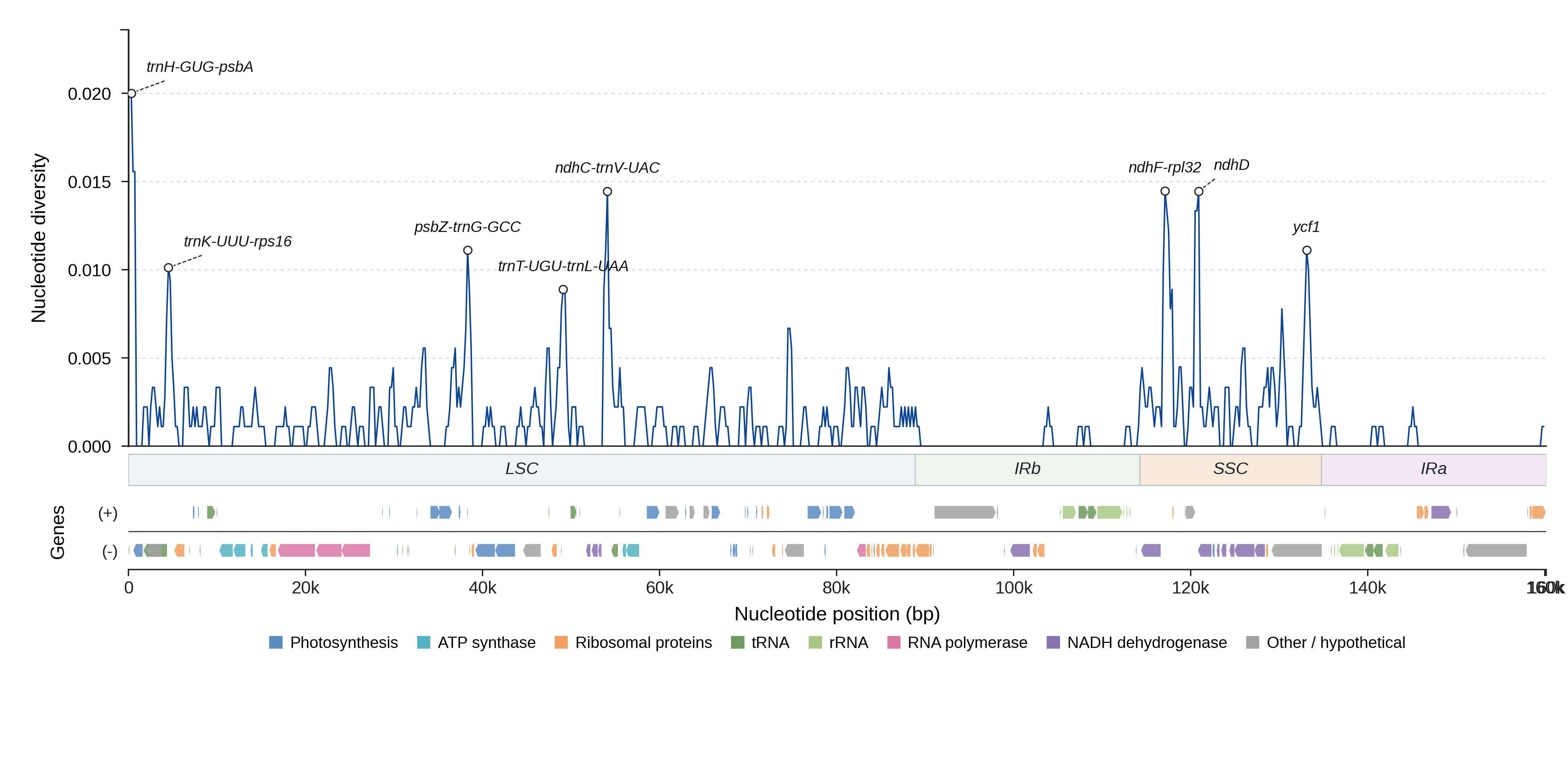 Sliding-window nucleotide diversity