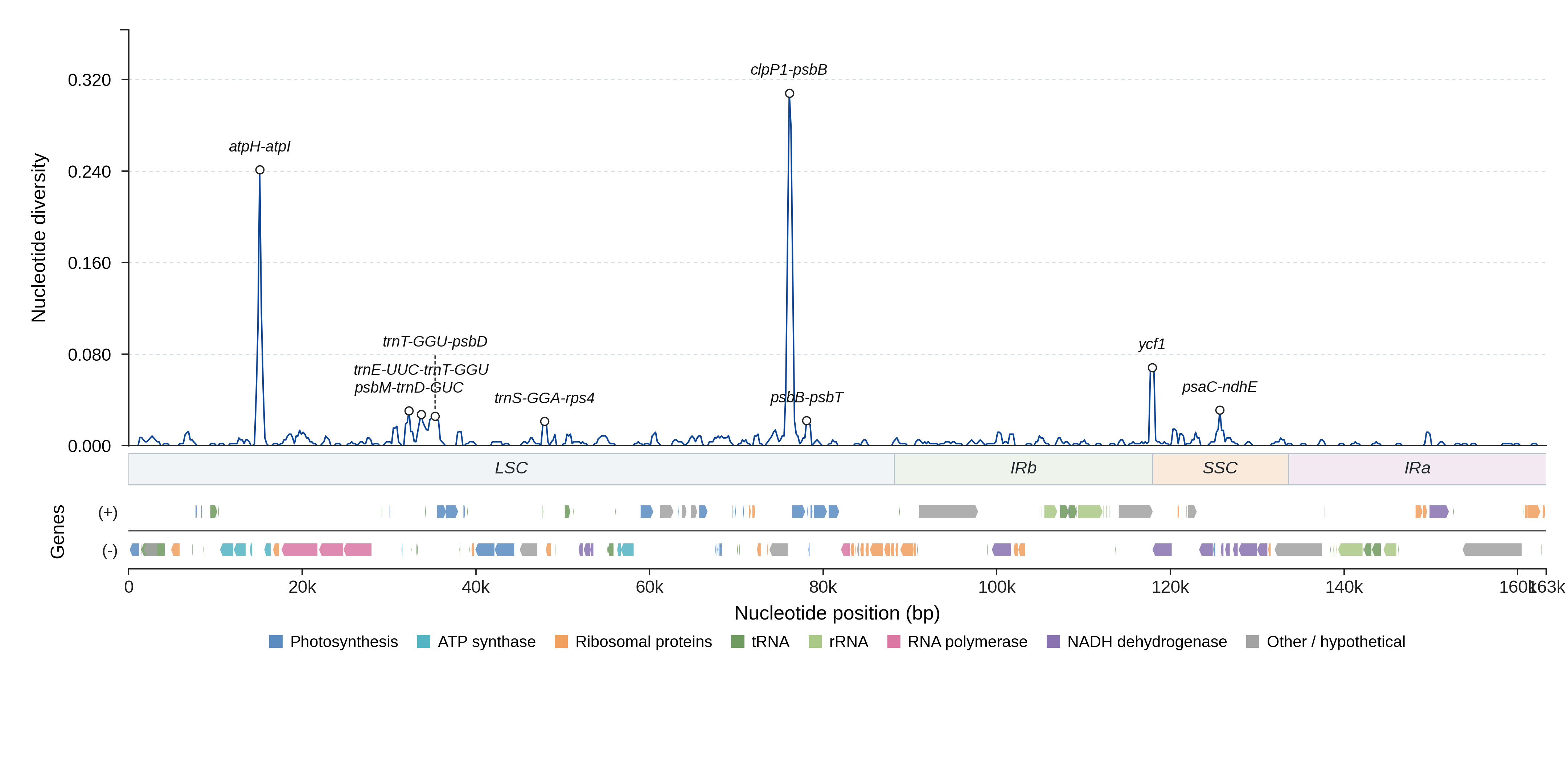 Sliding-window nucleotide diversity