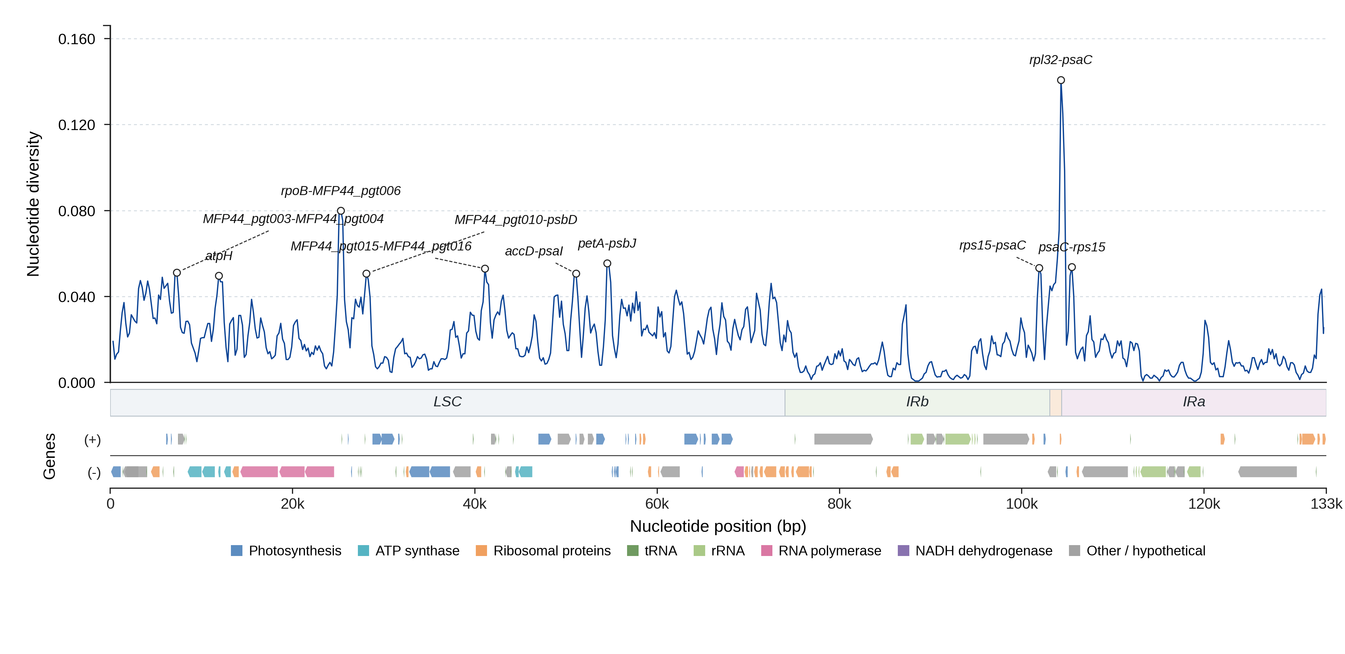 Sliding-window nucleotide diversity