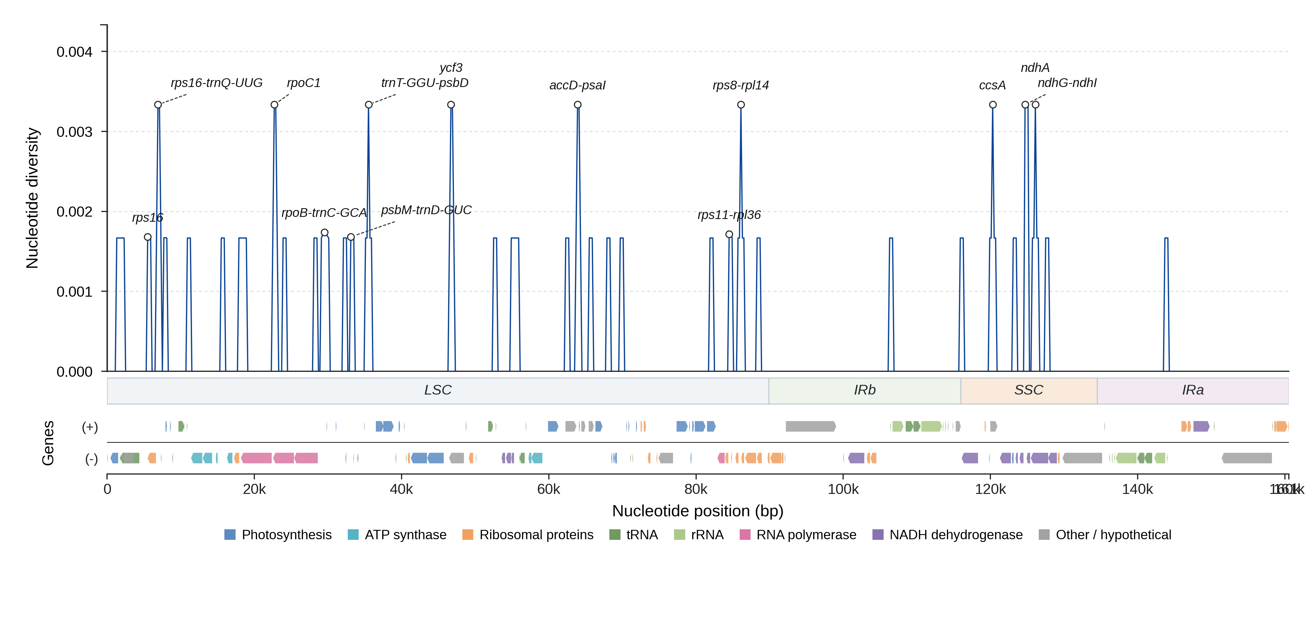 Sliding-window nucleotide diversity