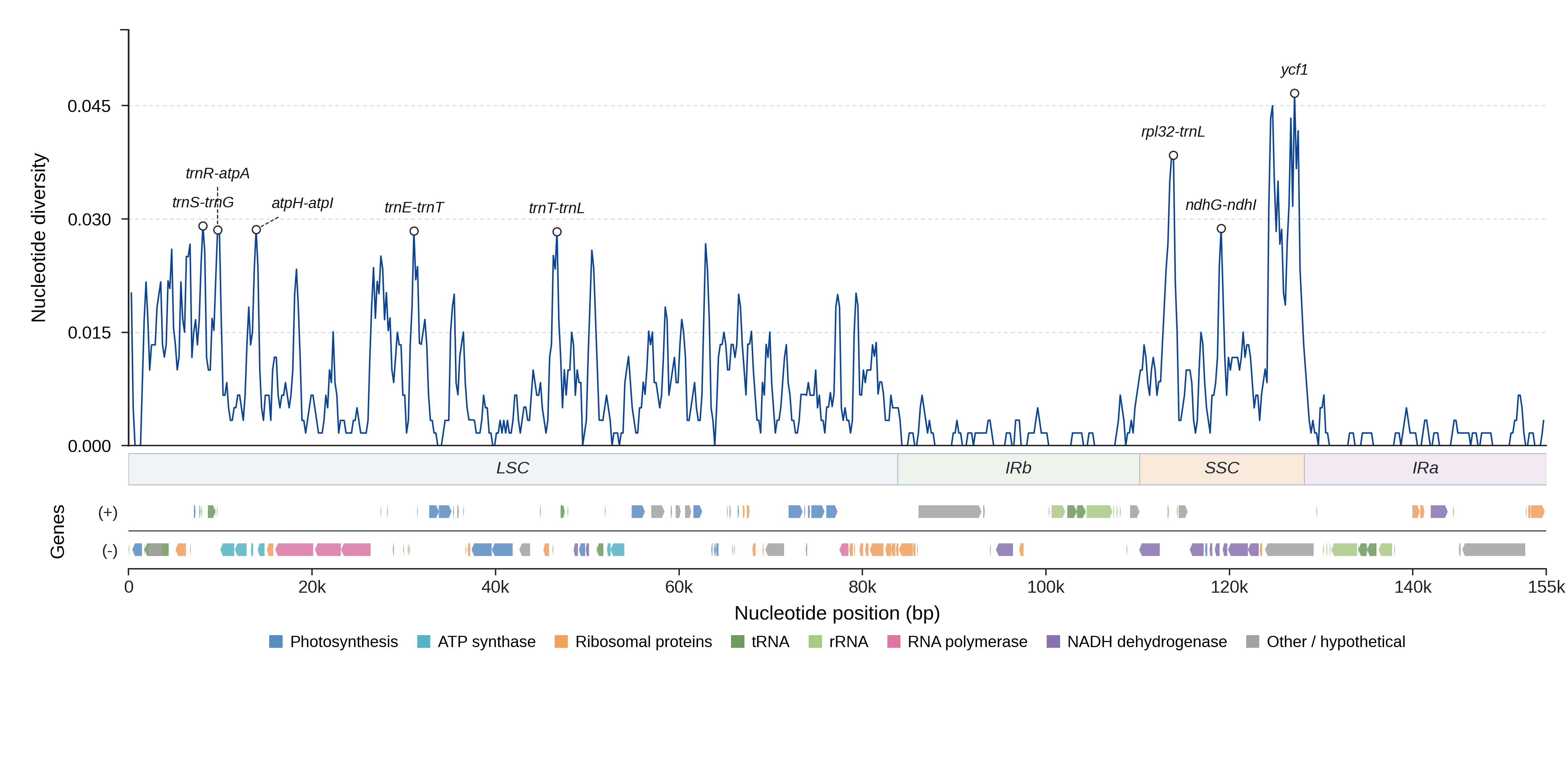 Sliding-window nucleotide diversity