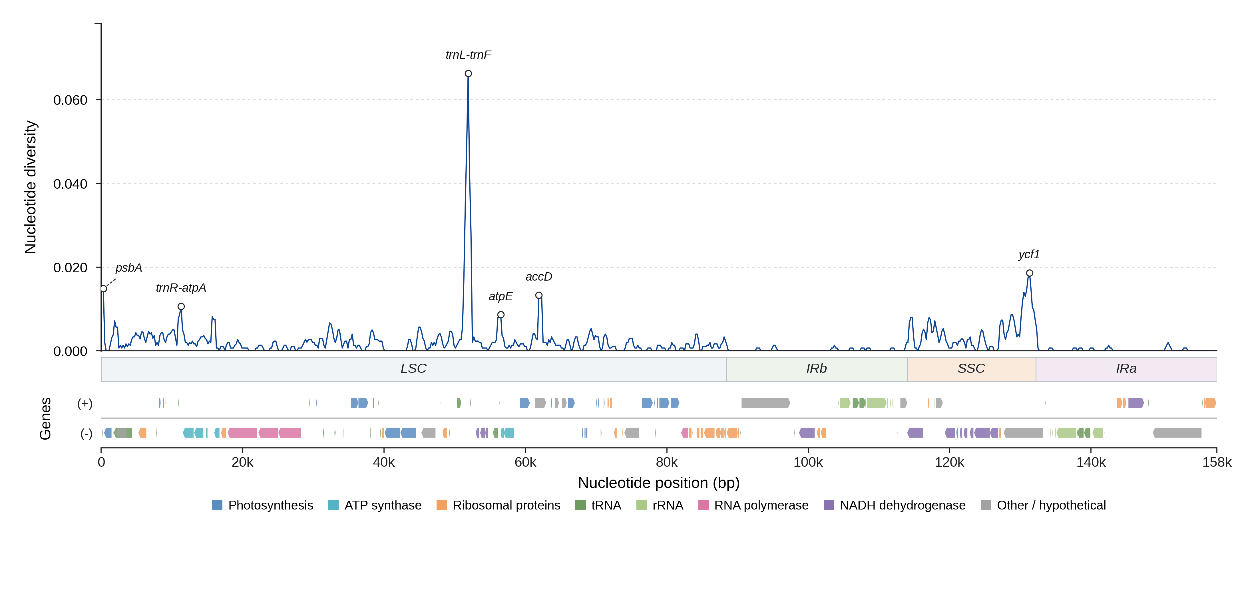 Sliding-window nucleotide diversity