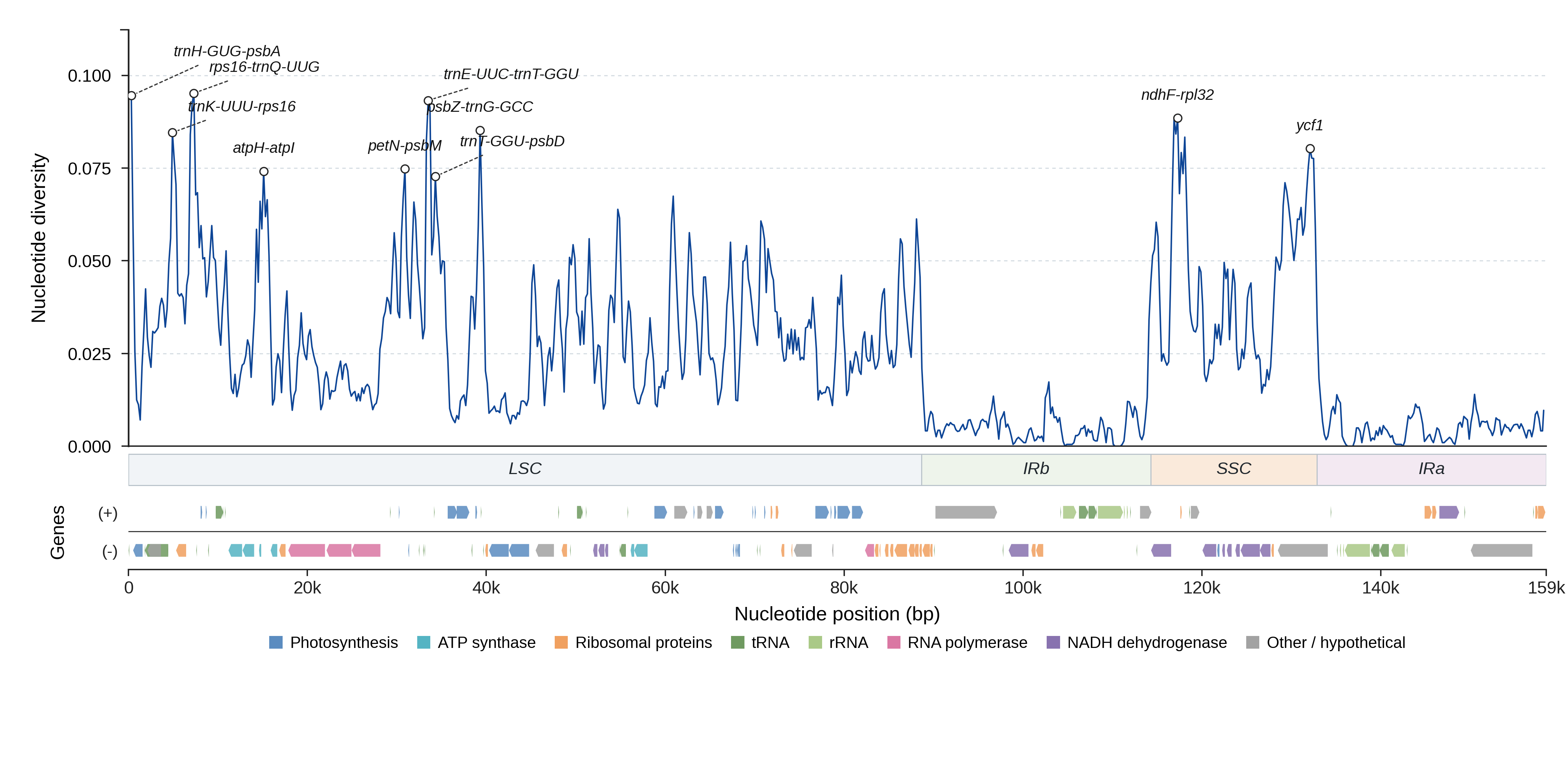Sliding-window nucleotide diversity