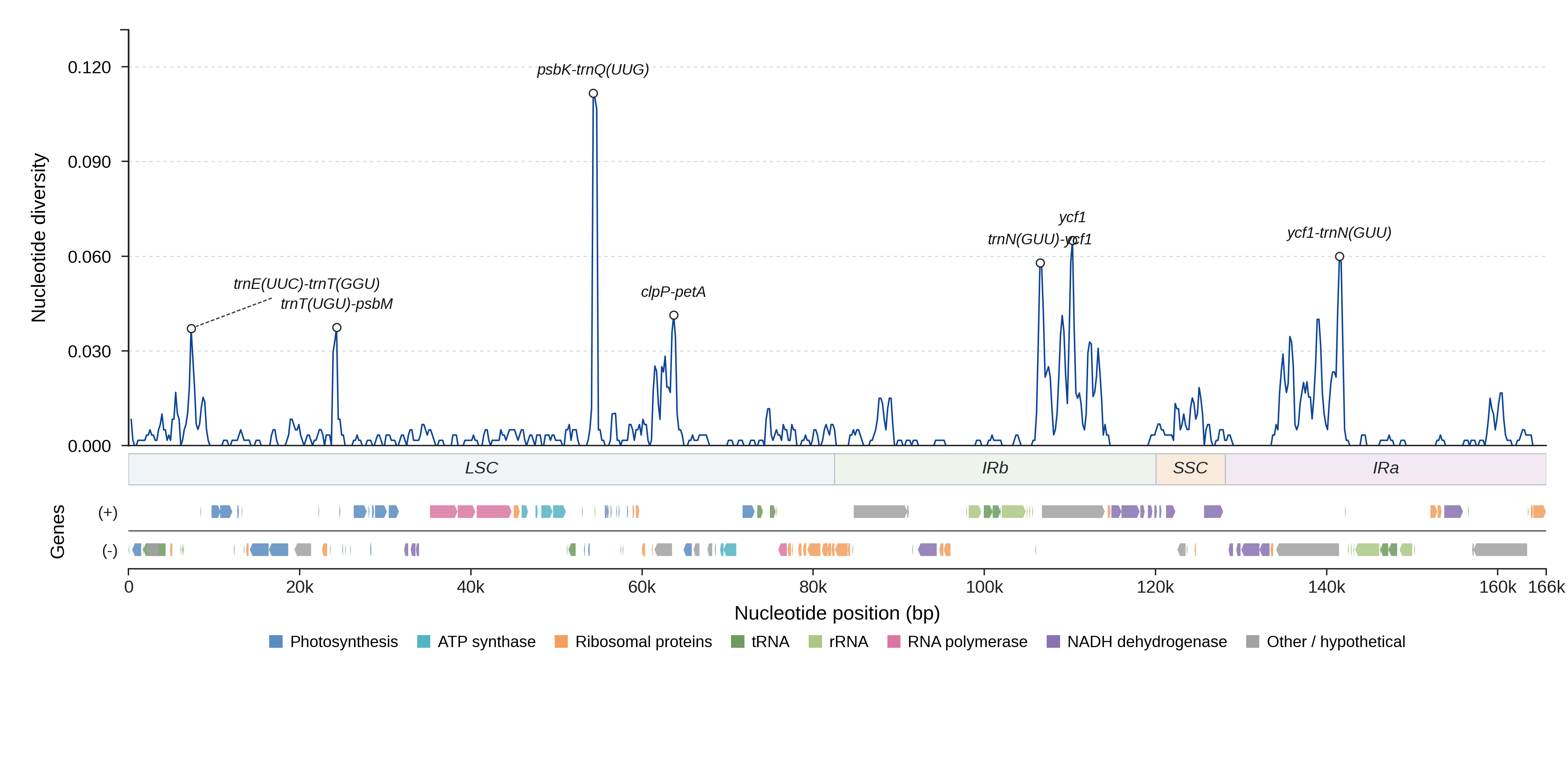 Sliding-window nucleotide diversity