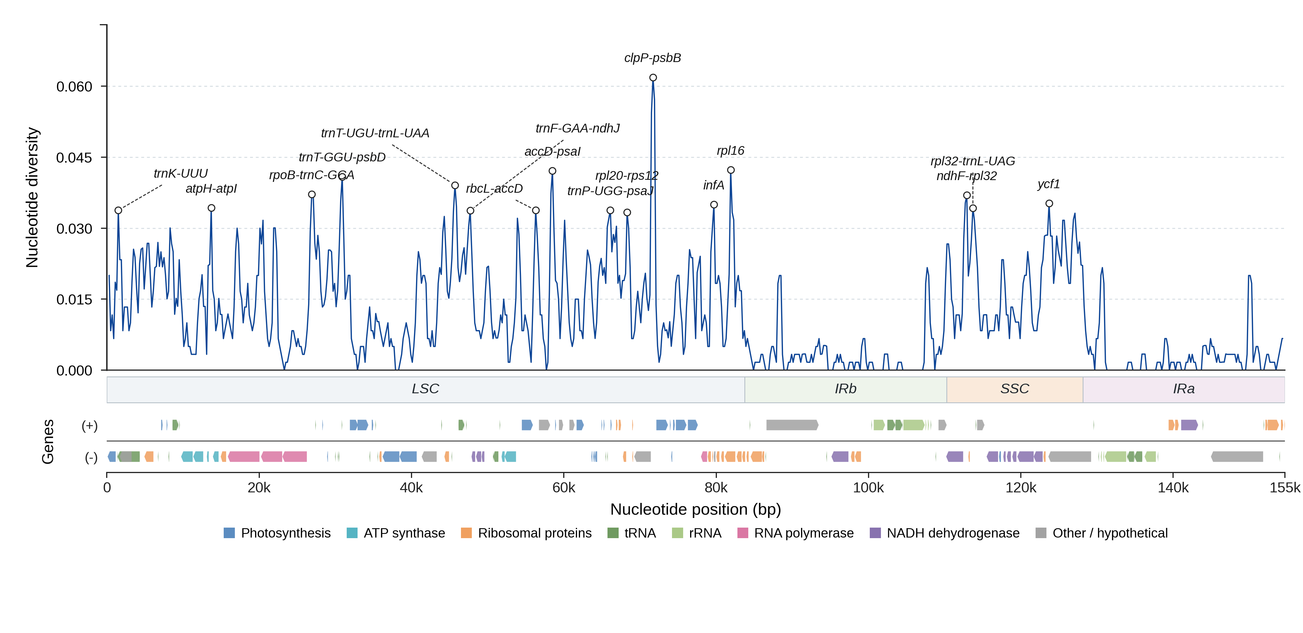Sliding-window nucleotide diversity